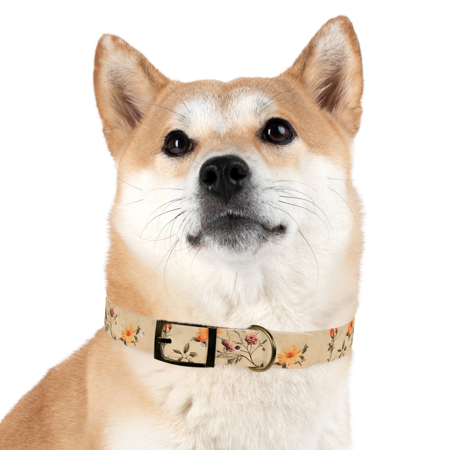 Floral Vintage Dog Collar – Peach Rose Print Pet Collar