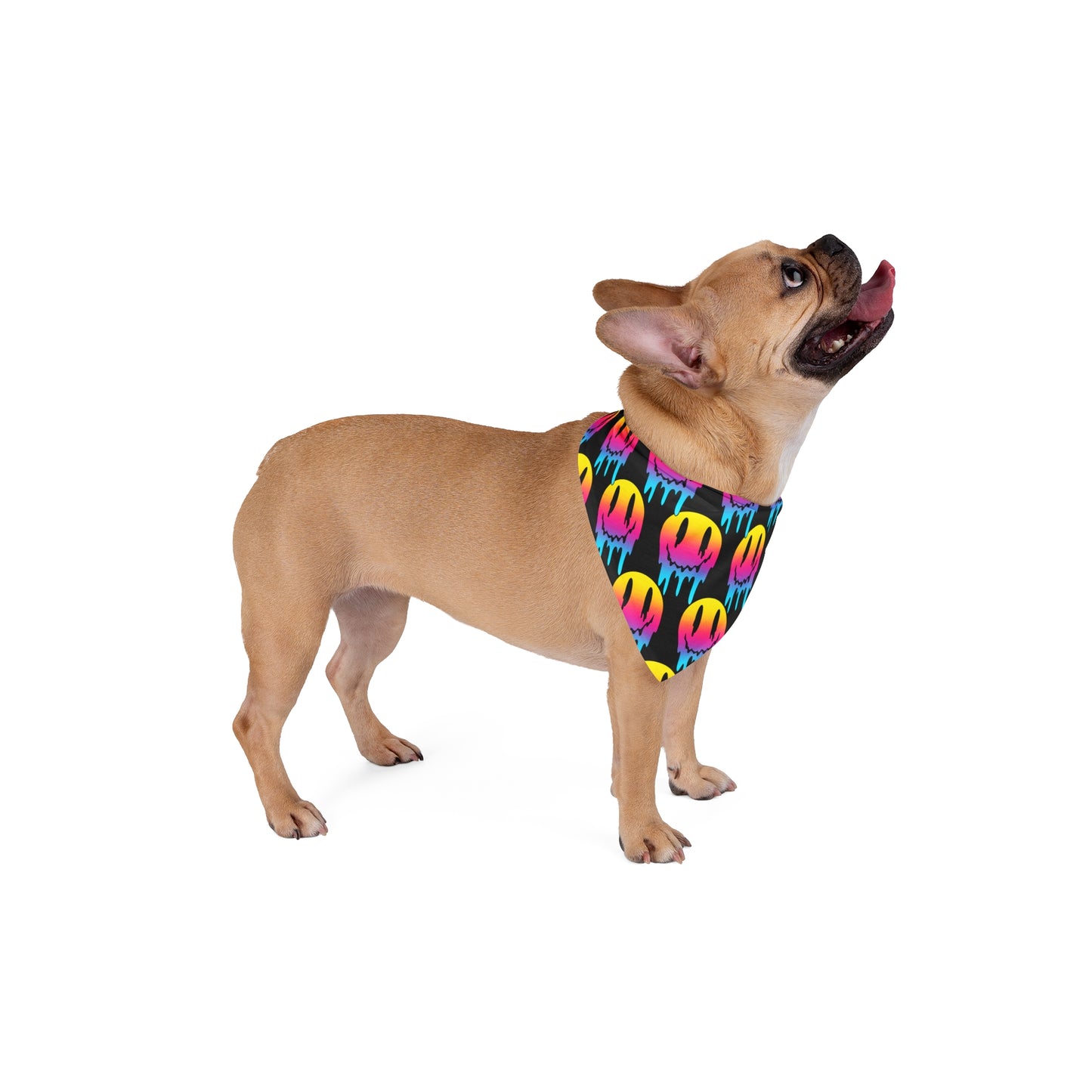 Pet Bandana — Neon Dripping Smiley Pattern