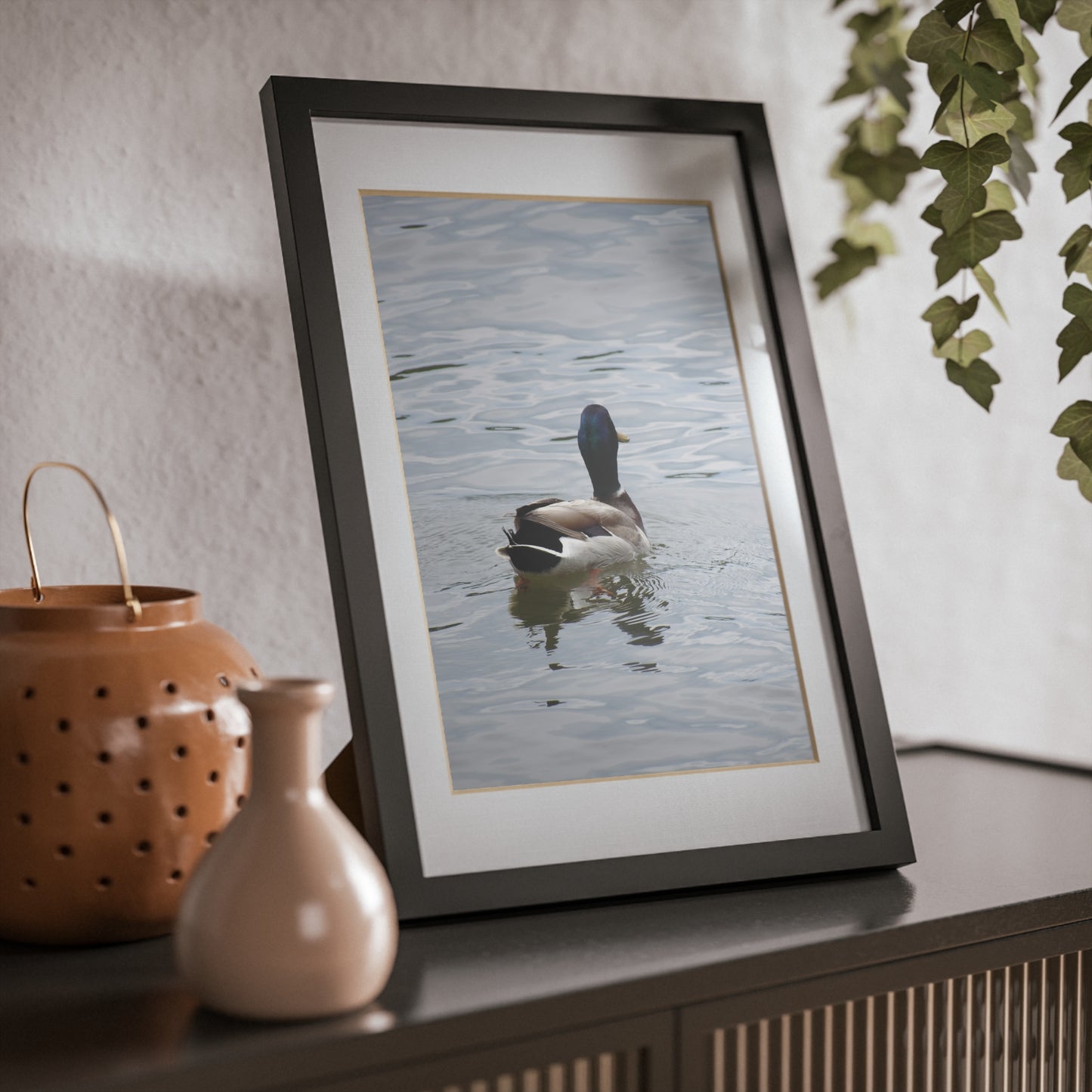 Framed Duck Poster — Black Frame Wall Art (Mallard Photography)