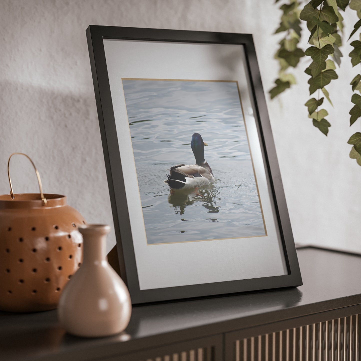 Framed Duck Poster — Black Frame Wall Art (Mallard Photography)