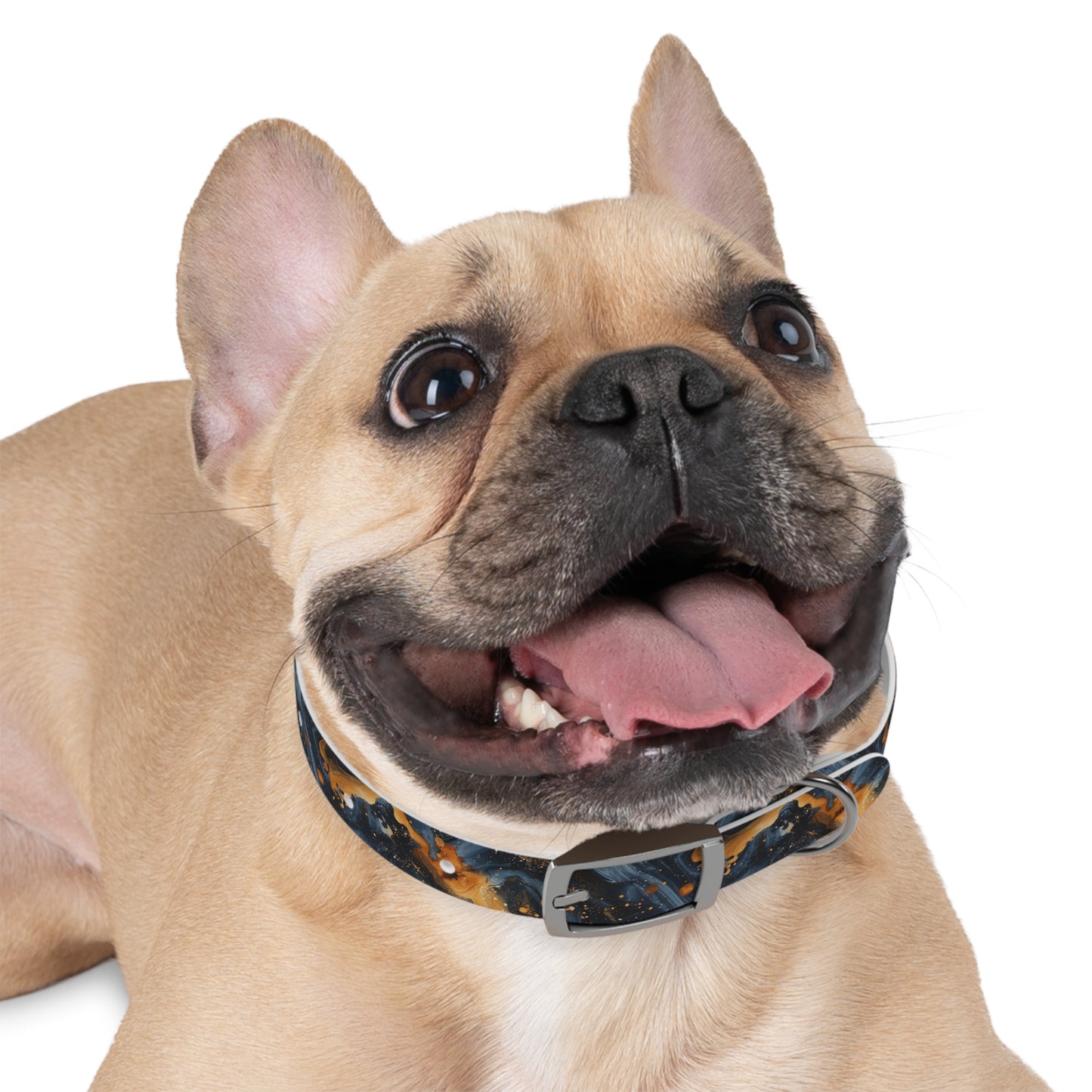 Celestial Marbled Dog Collar — Black & Gold Abstract Galaxy Pattern