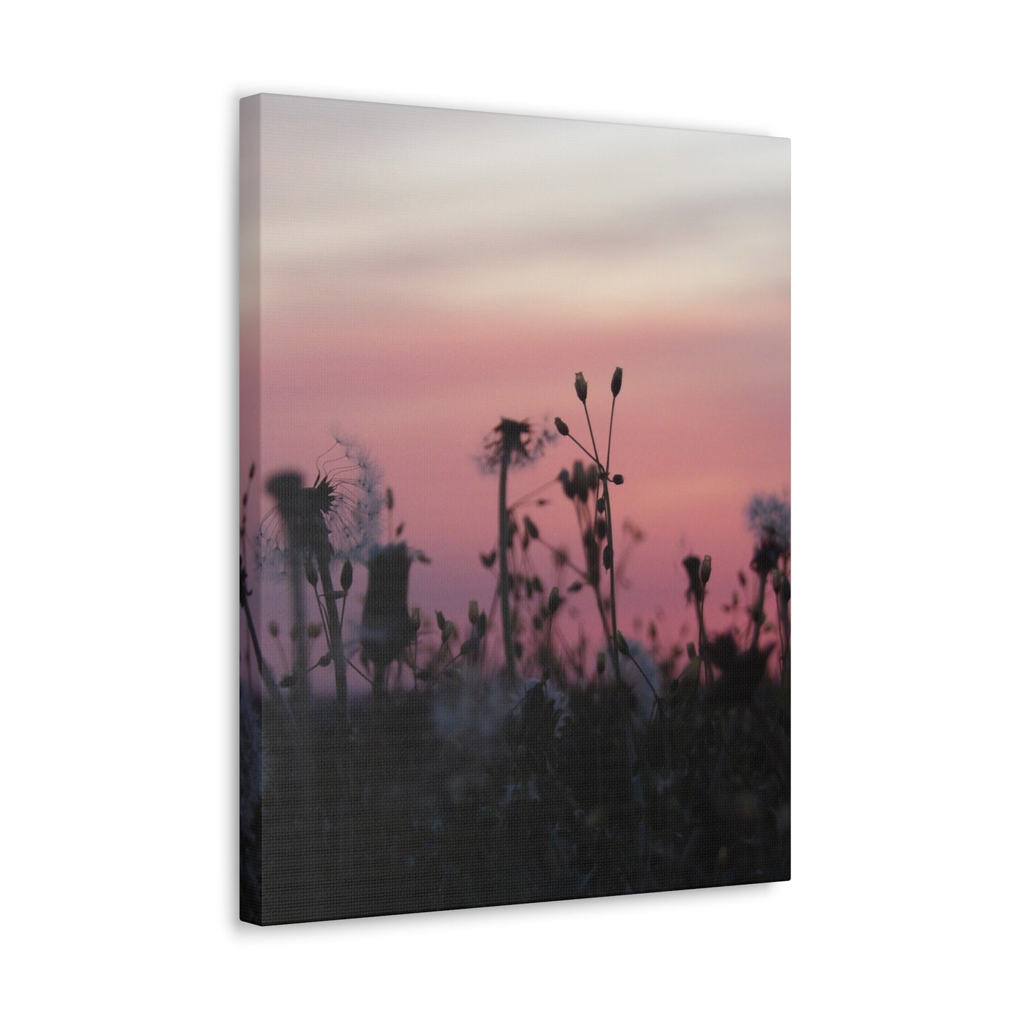 Canvas Wall Art - Silhouetted Wildflowers at Pink Sunset
