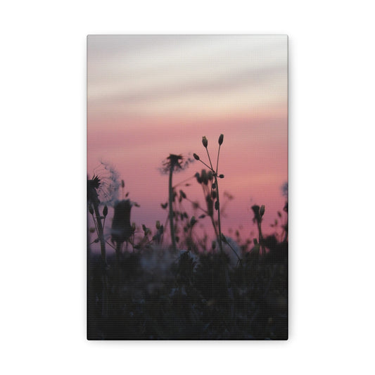 Canvas Wall Art - Silhouetted Wildflowers at Pink Sunset