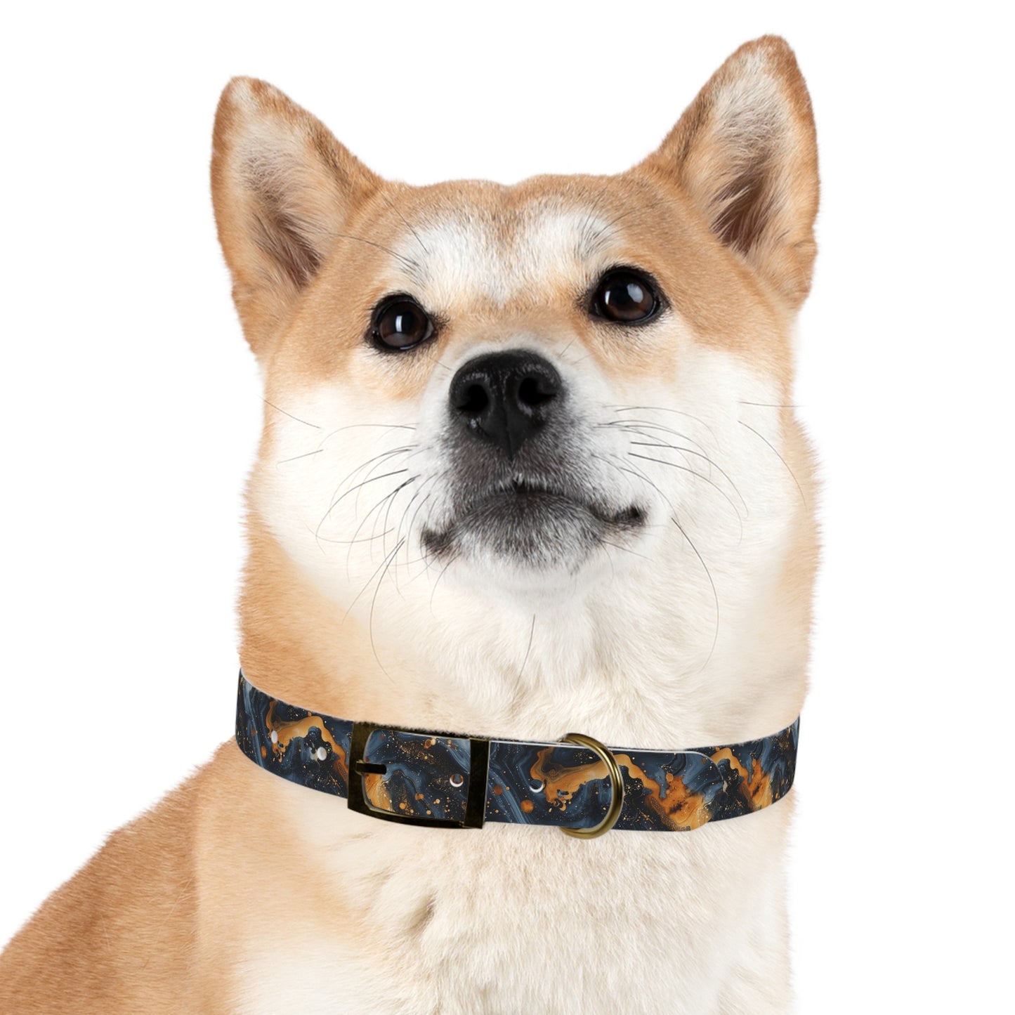 Celestial Marbled Dog Collar — Black & Gold Abstract Galaxy Pattern