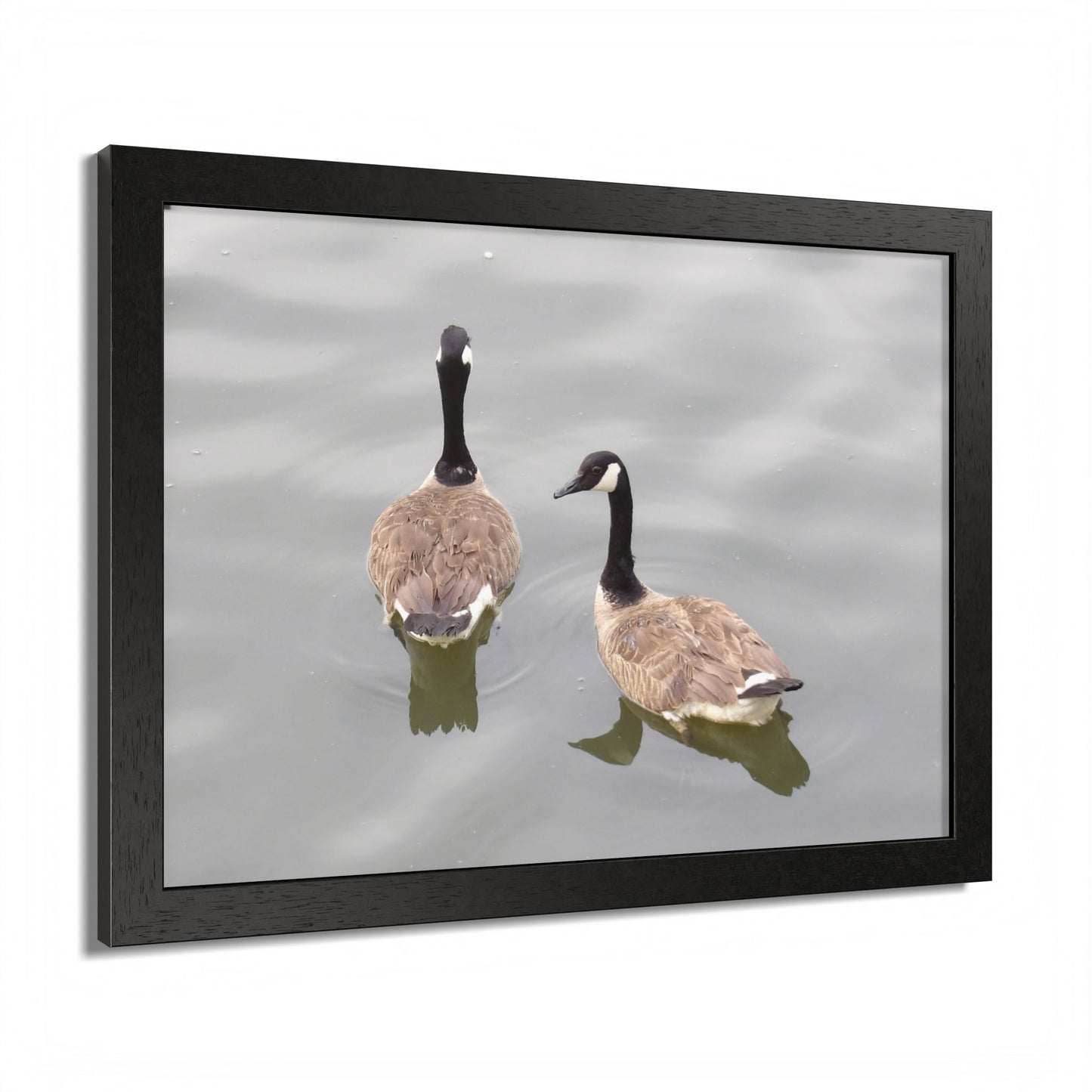 Canada Geese Wall Art Framed Photo Print — Serene Lake Nature Poster