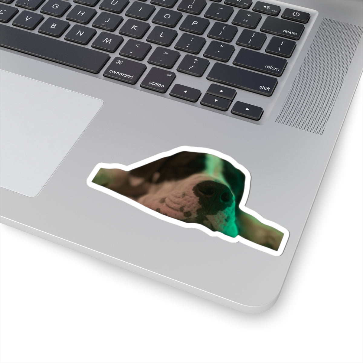Sleepy Dog Kiss-Cut Sticker — Cute Resting Puppy Laptop Decal