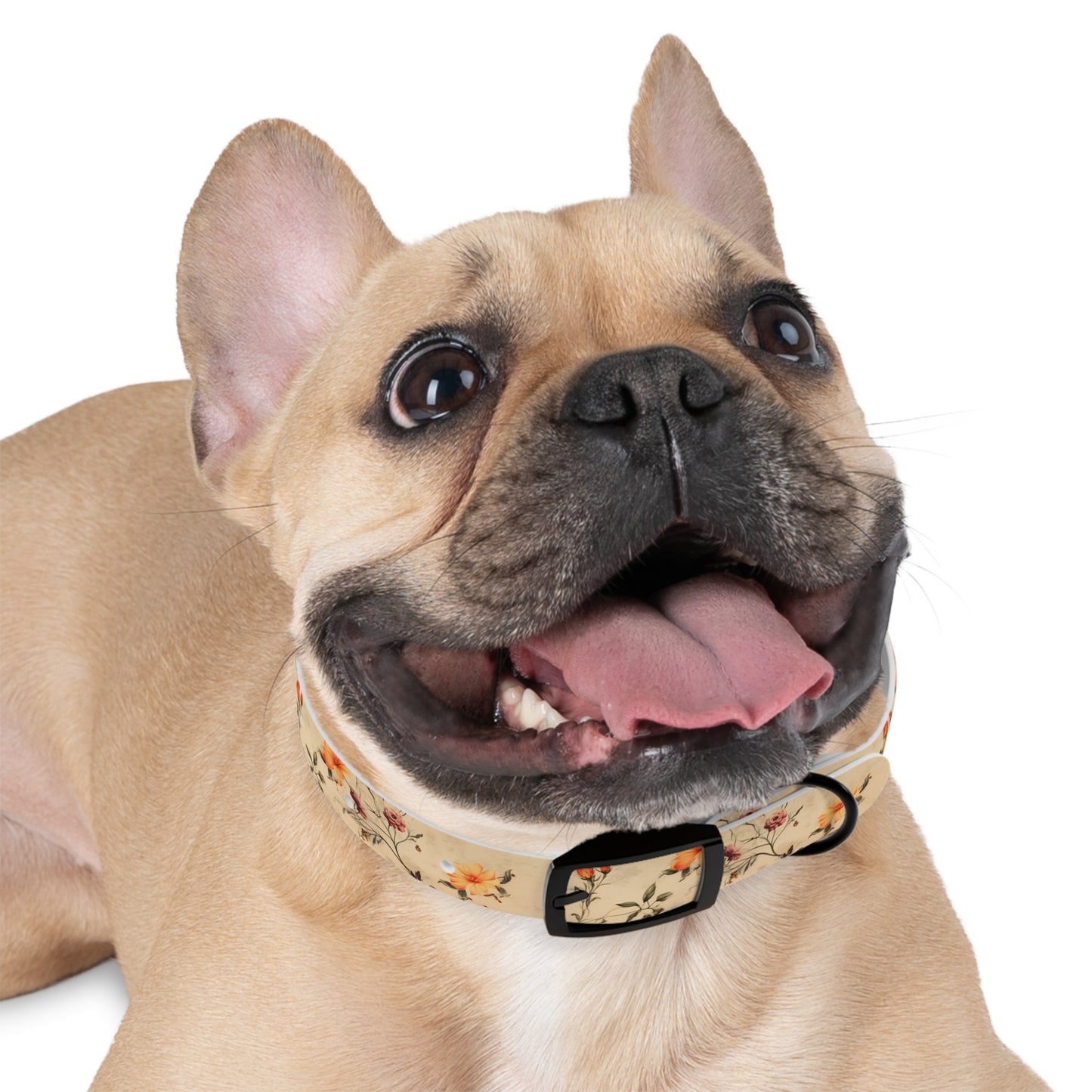 Floral Vintage Dog Collar – Peach Rose Print Pet Collar
