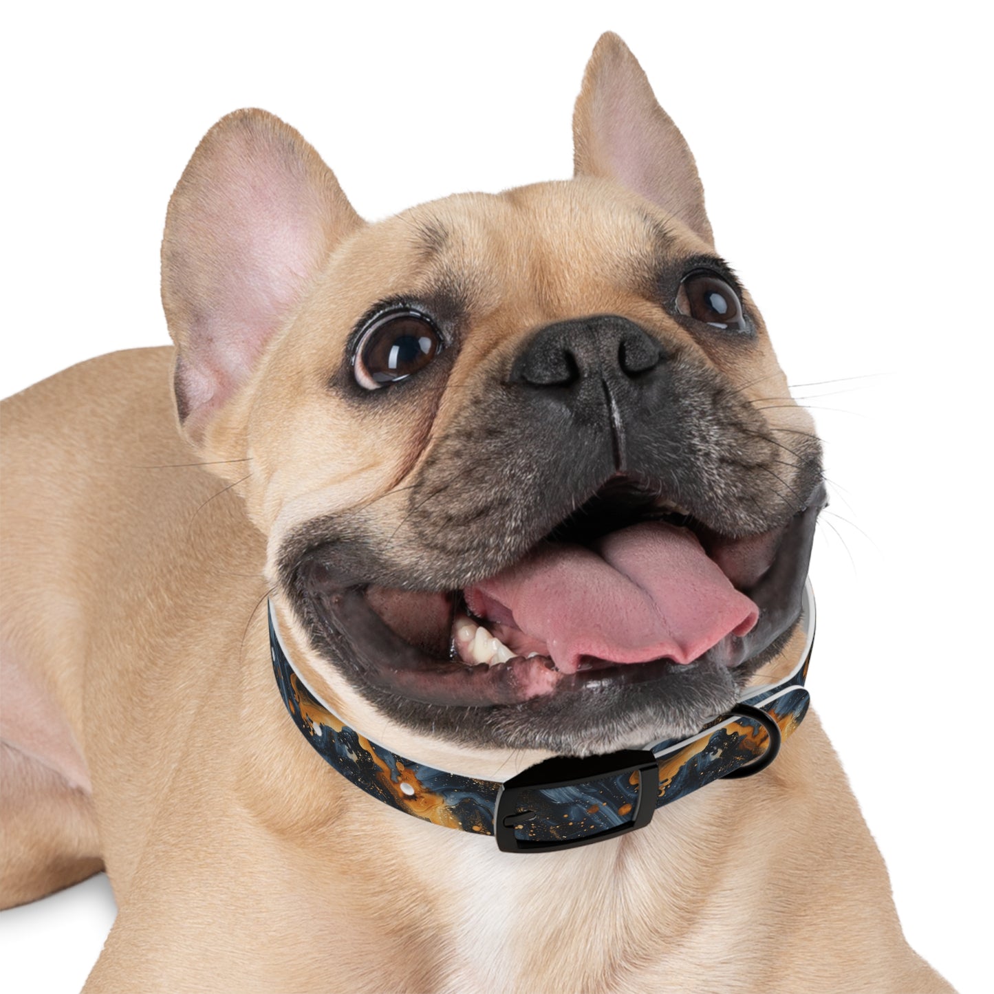 Celestial Marbled Dog Collar — Black & Gold Abstract Galaxy Pattern