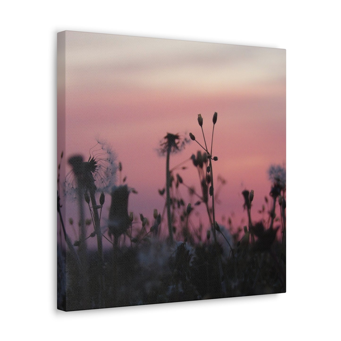 Canvas Wall Art - Silhouetted Wildflowers at Pink Sunset