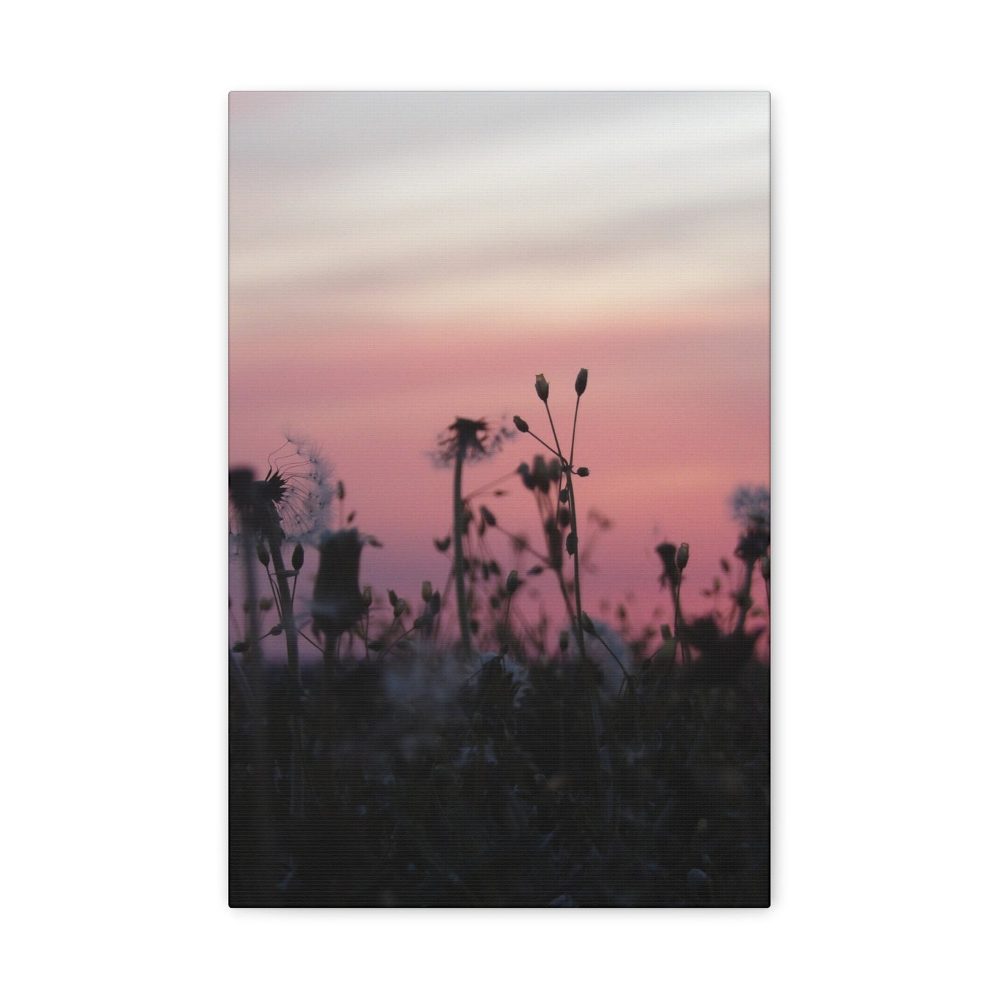 Canvas Wall Art - Silhouetted Wildflowers at Pink Sunset