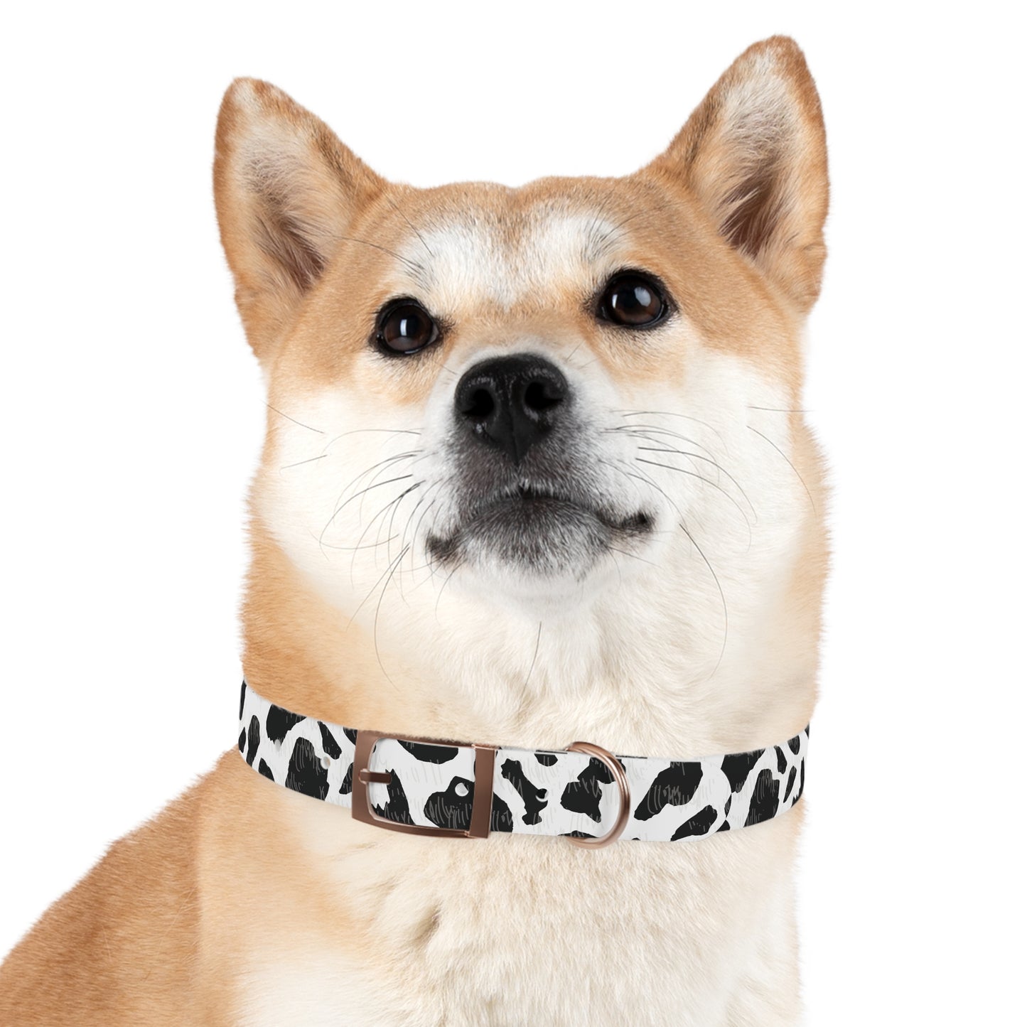 Cow Print Dog Collar — Black & White Spot Pattern