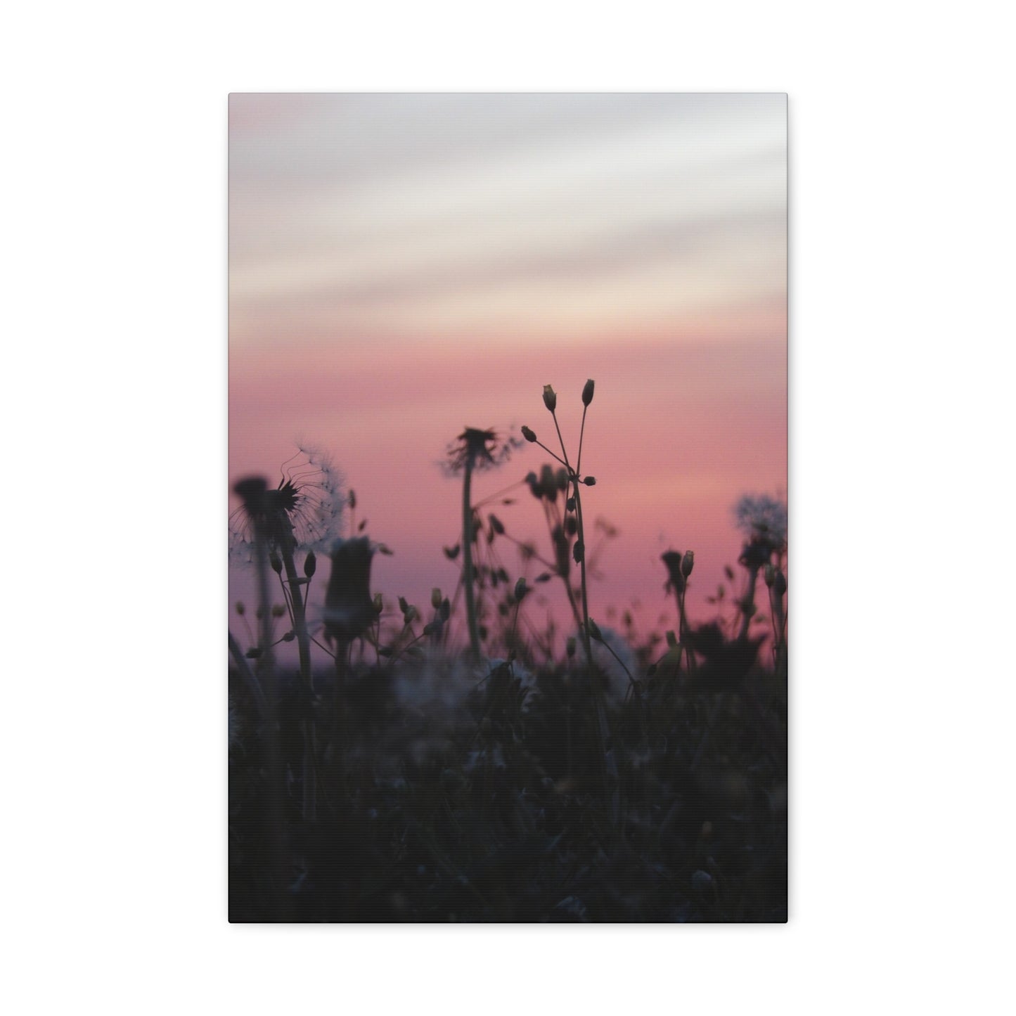 Canvas Wall Art - Silhouetted Wildflowers at Pink Sunset