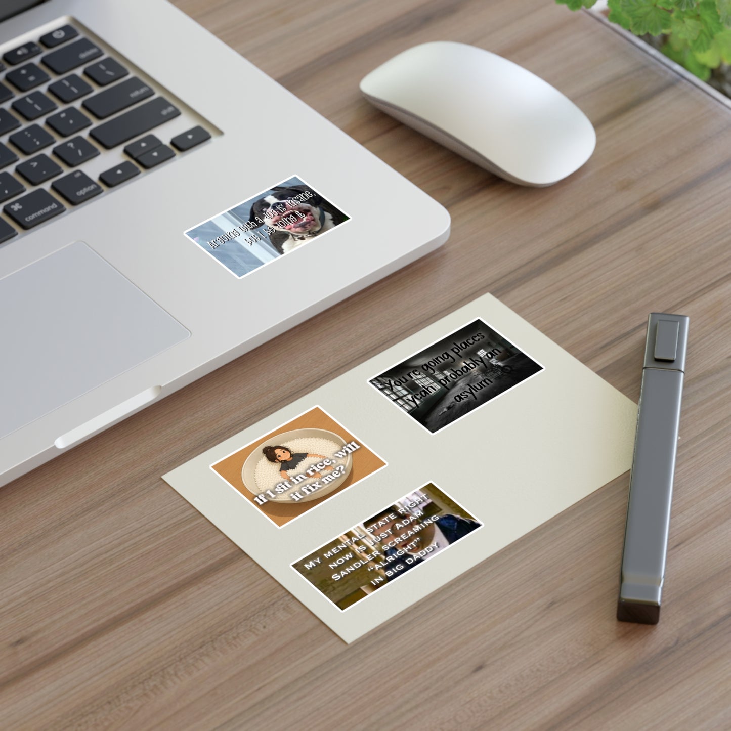 Funny Dark Humor Sticker Sheet — Meme Quotes ('If I sit in rice, will it fix me?', 'You're going places... asylum', Adam Sandler Big Daddy)