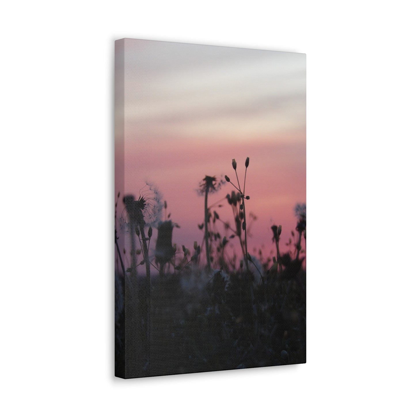 Canvas Wall Art - Silhouetted Wildflowers at Pink Sunset