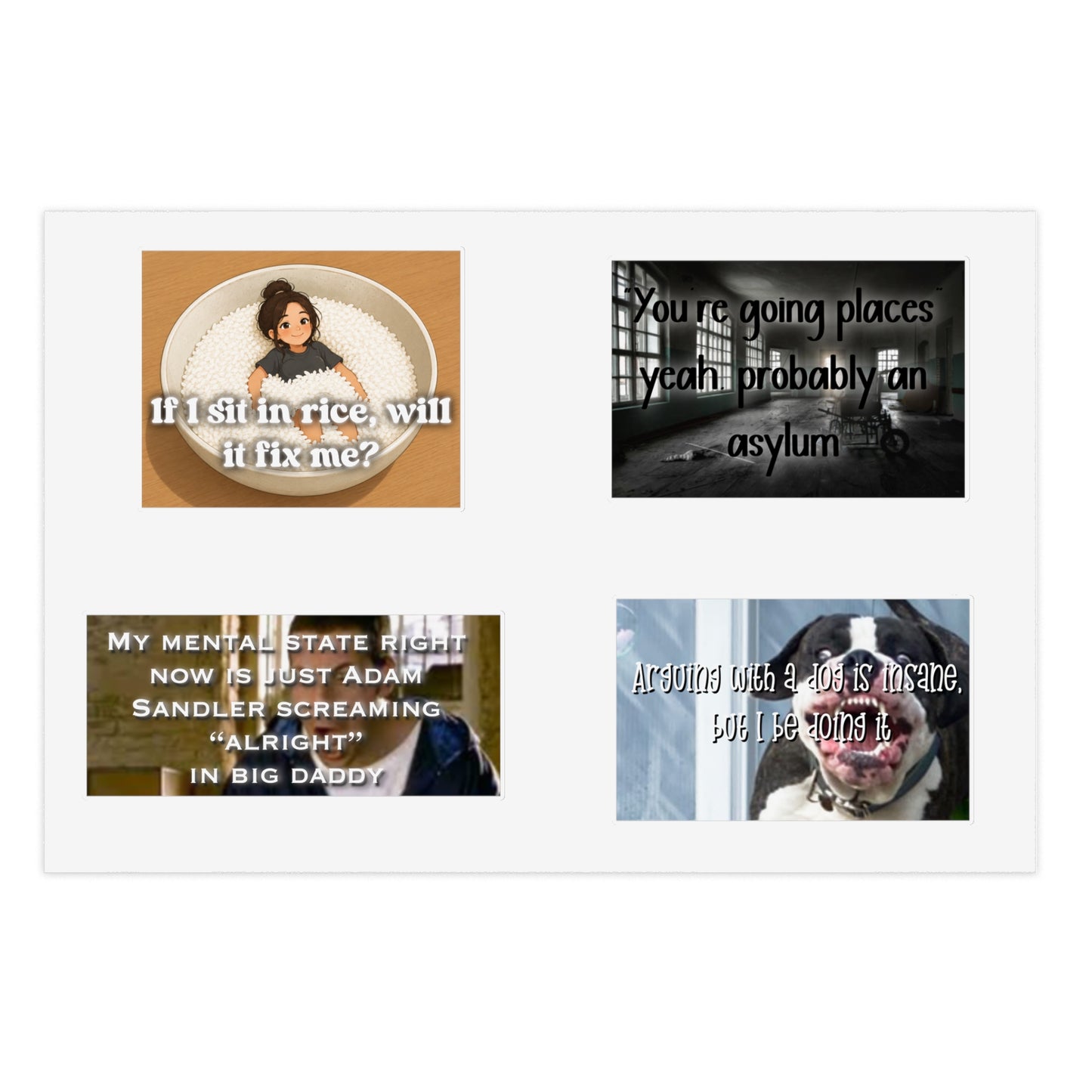 Funny Dark Humor Sticker Sheet — Meme Quotes ('If I sit in rice, will it fix me?', 'You're going places... asylum', Adam Sandler Big Daddy)