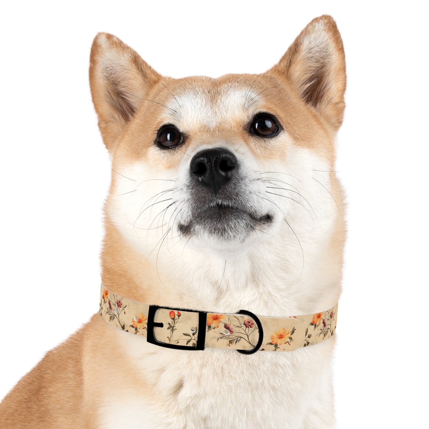 Floral Vintage Dog Collar – Peach Rose Print Pet Collar