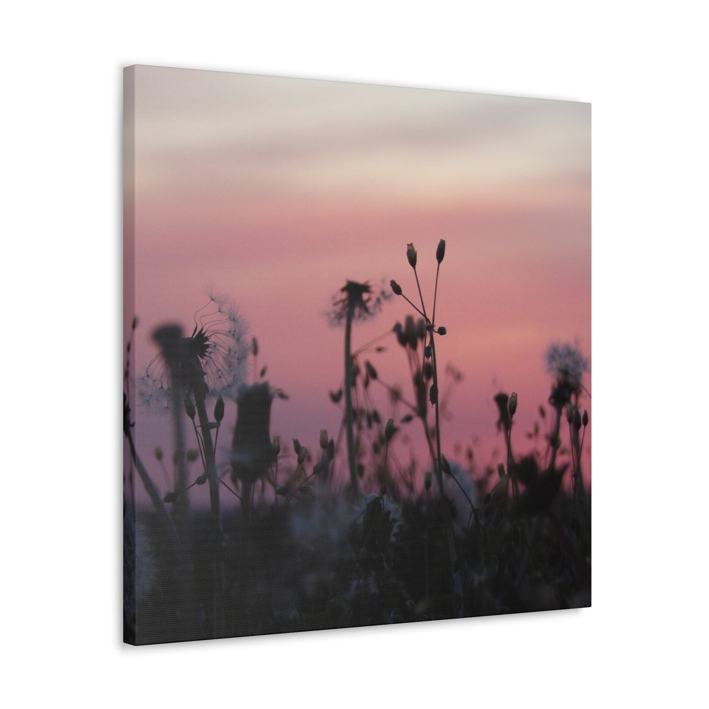Canvas Wall Art - Silhouetted Wildflowers at Pink Sunset