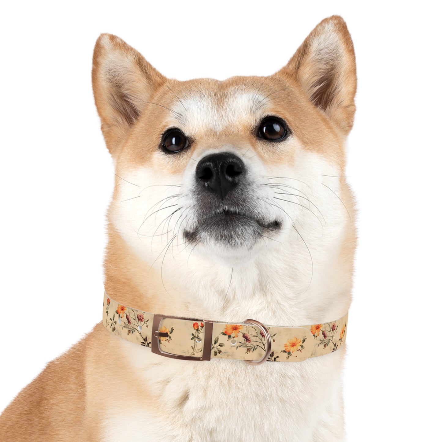 Floral Vintage Dog Collar – Peach Rose Print Pet Collar