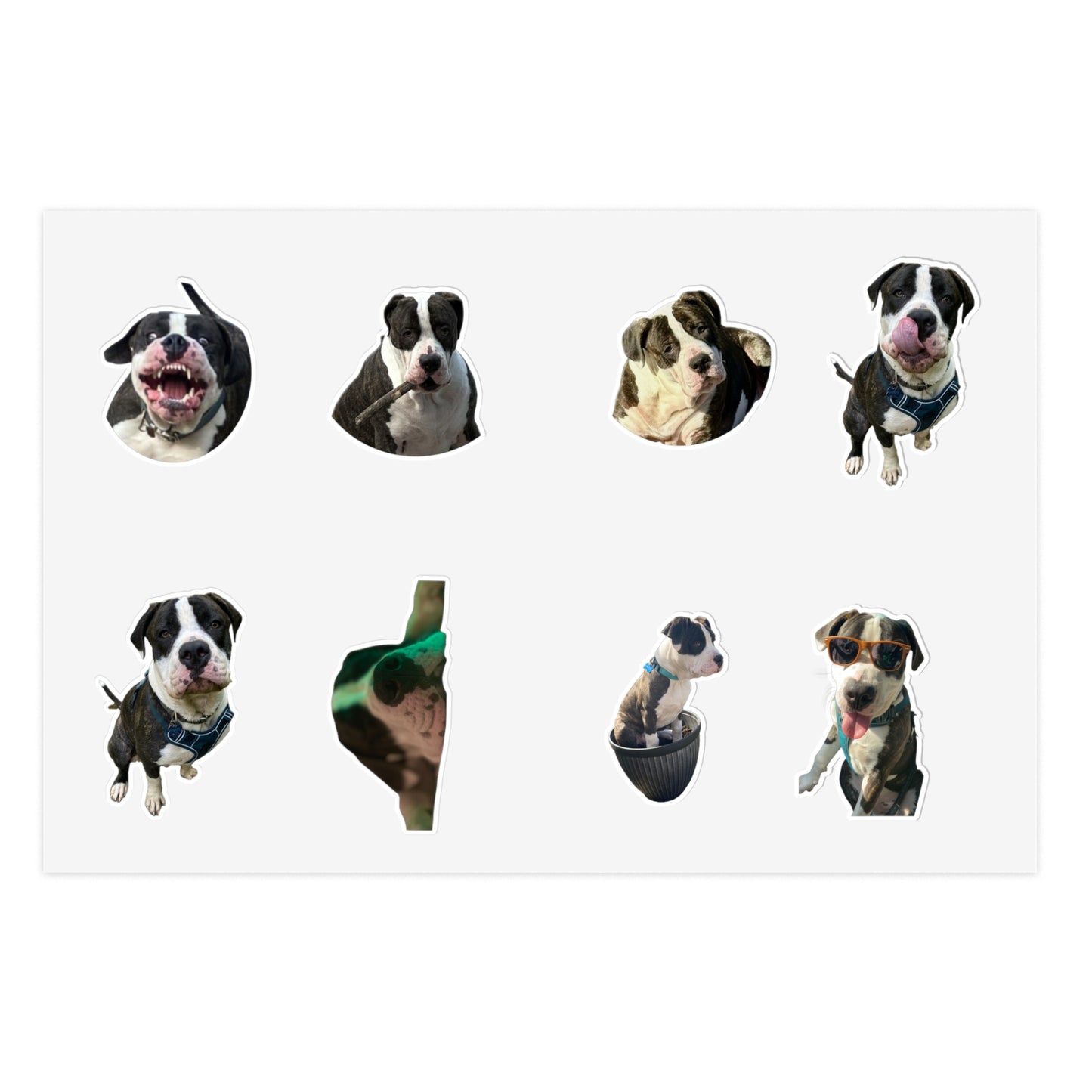 Sticker Sheets
