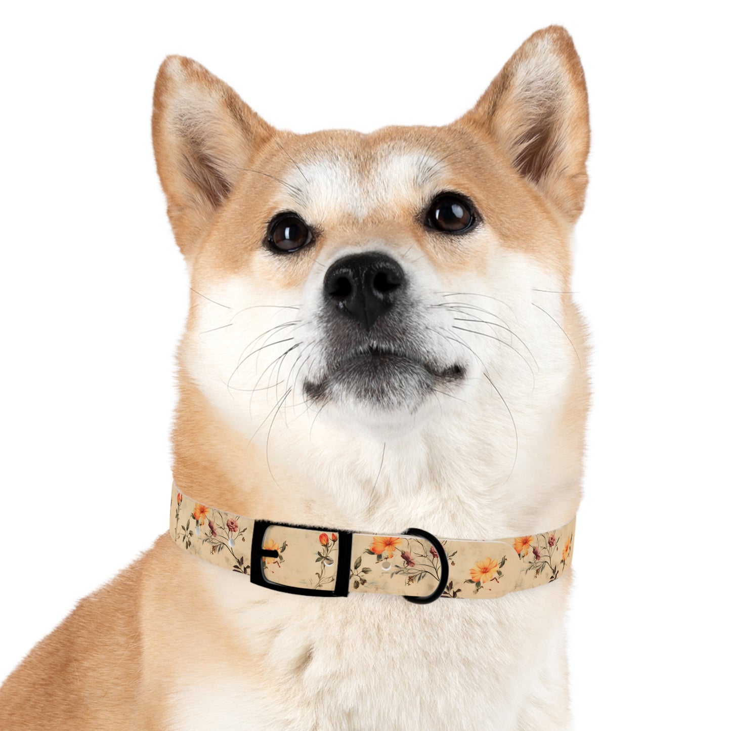 Floral Vintage Dog Collar – Peach Rose Print Pet Collar