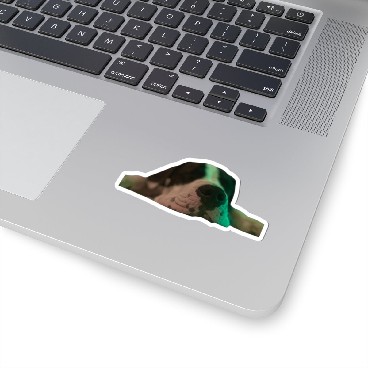 Sleepy Dog Kiss-Cut Sticker — Cute Resting Puppy Laptop Decal