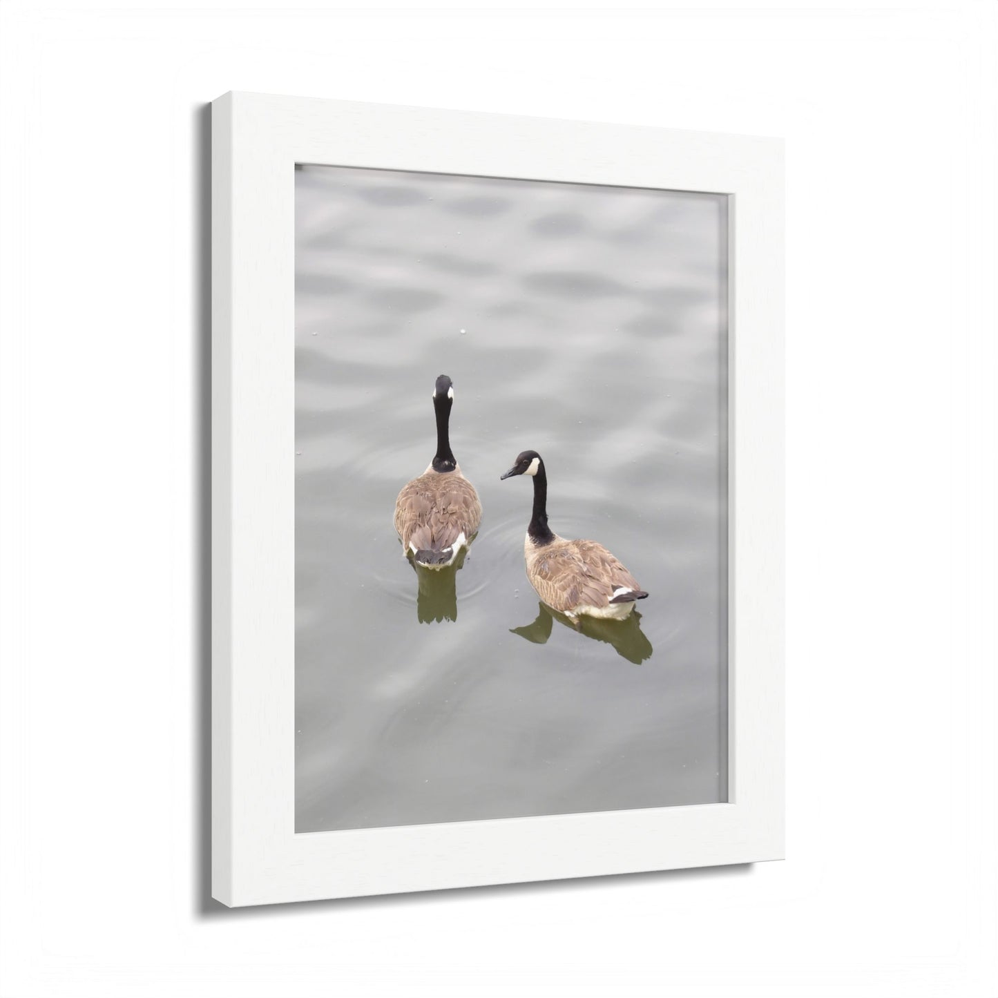 Canada Geese Wall Art Framed Photo Print — Serene Lake Nature Poster