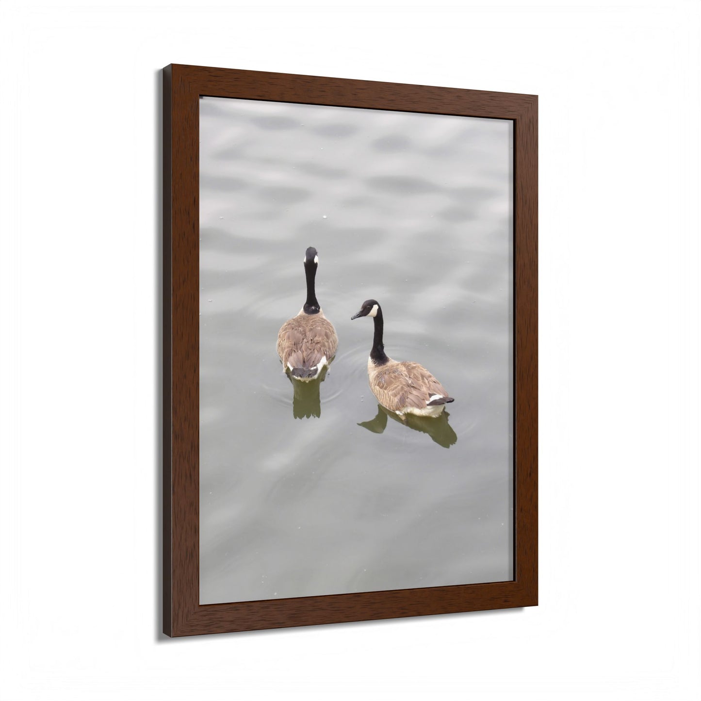 Canada Geese Wall Art Framed Photo Print — Serene Lake Nature Poster