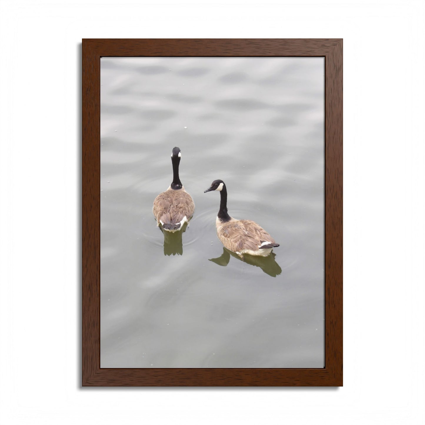 Canada Geese Wall Art Framed Photo Print — Serene Lake Nature Poster