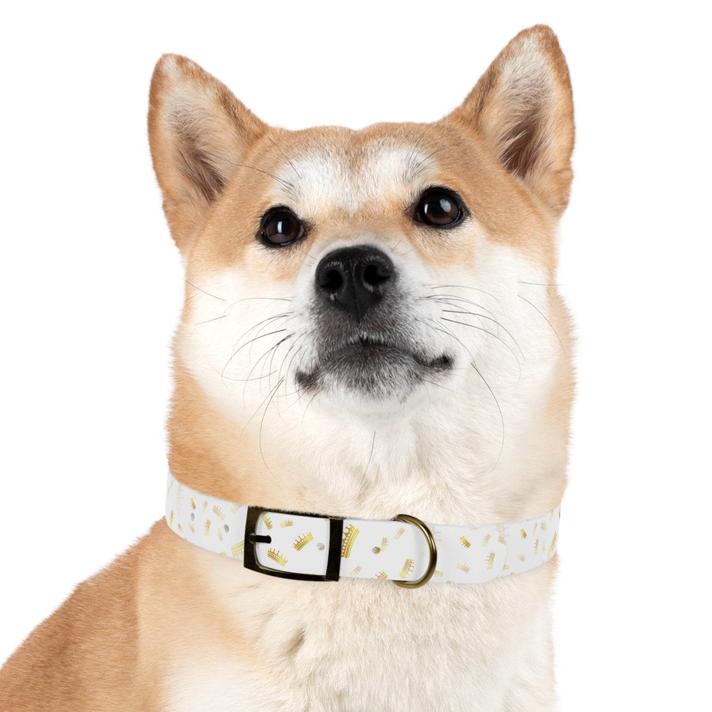 Gold Crown Pattern Dog Collar — Royal Pet Collar for Small & Large Dogs