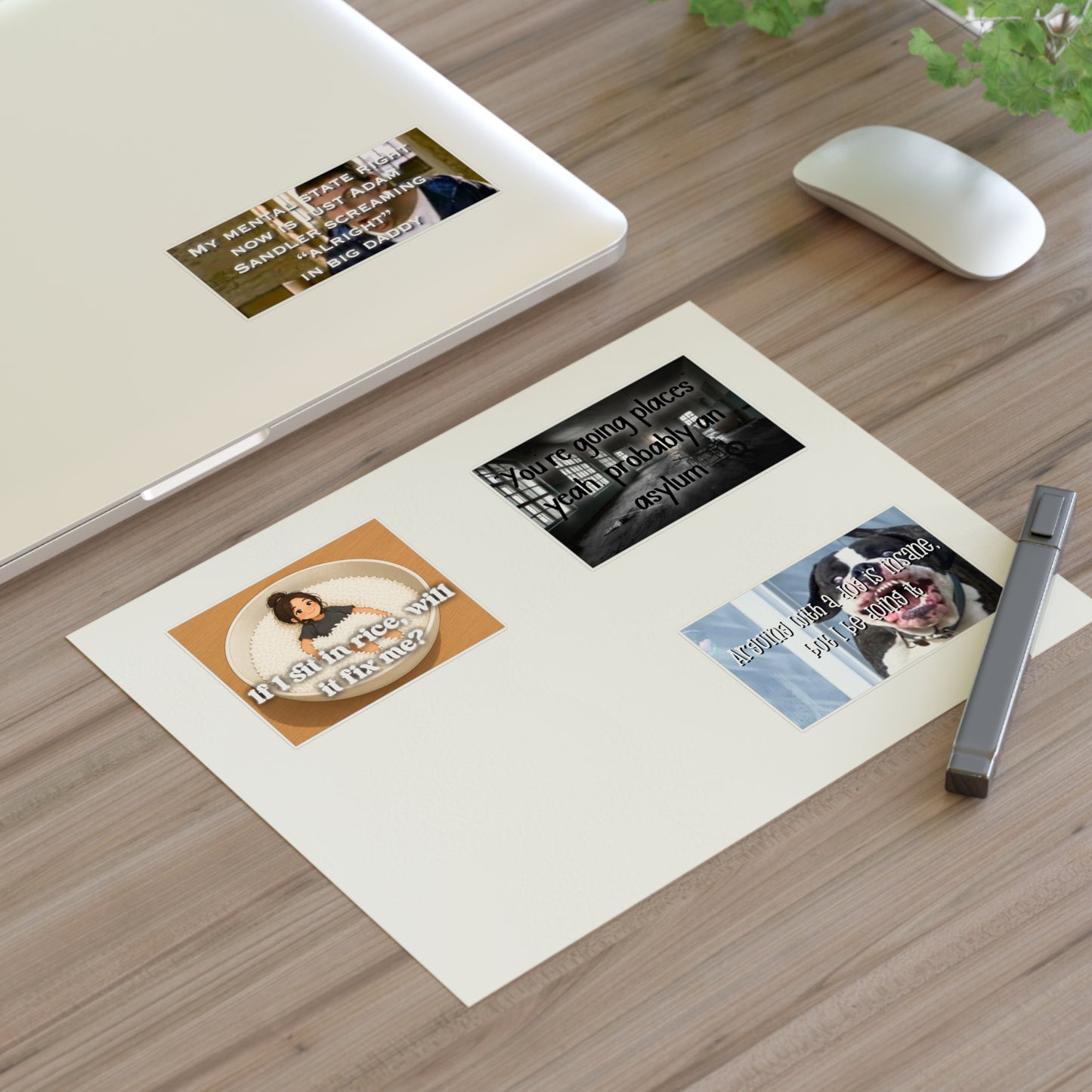Funny Dark Humor Sticker Sheet — Meme Quotes ('If I sit in rice, will it fix me?', 'You're going places... asylum', Adam Sandler Big Daddy)