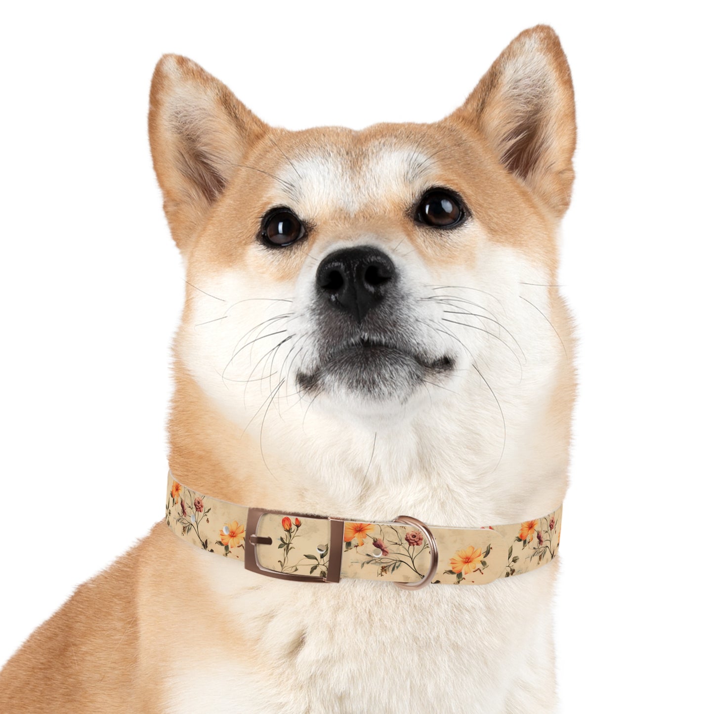 Floral Vintage Dog Collar – Peach Rose Print Pet Collar