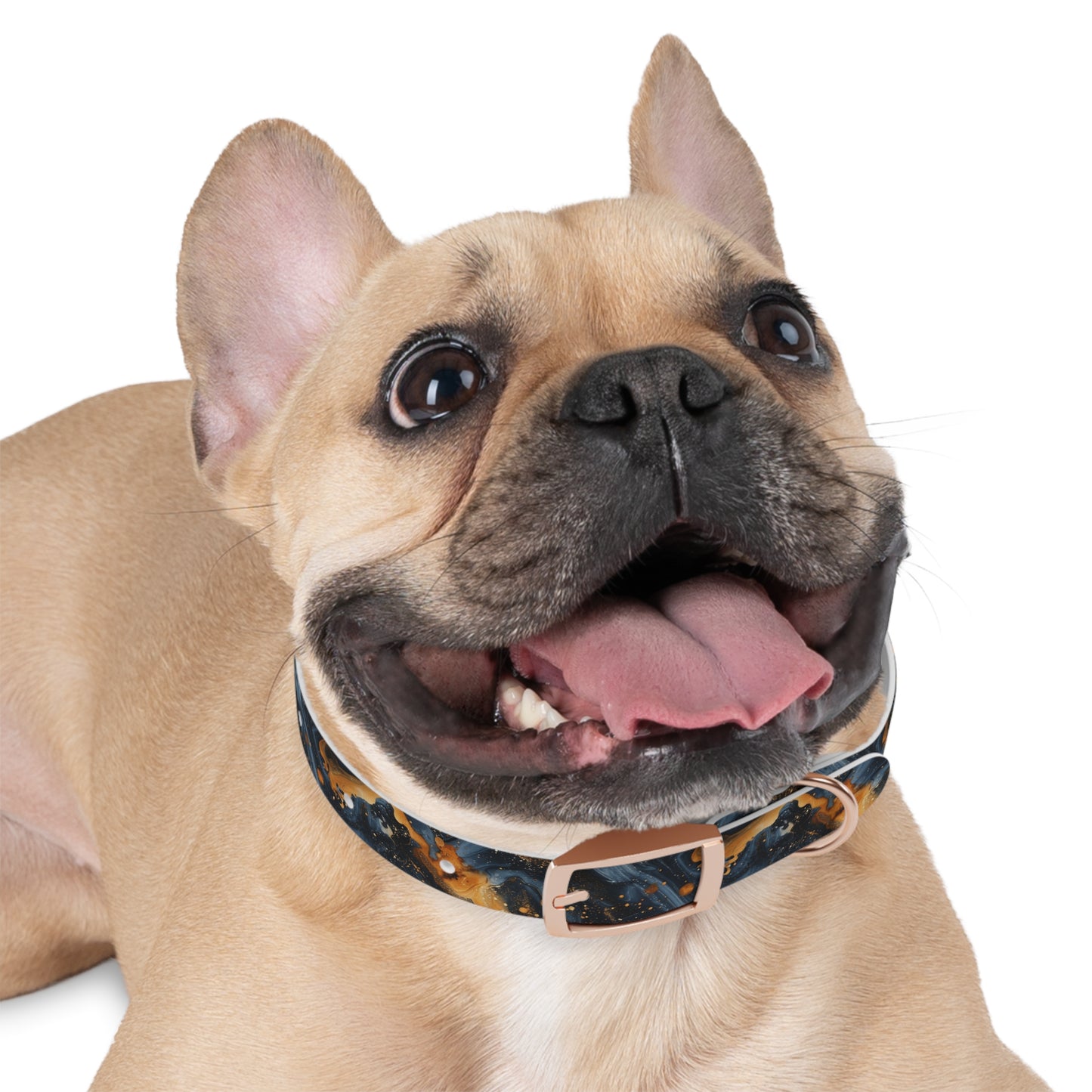 Celestial Marbled Dog Collar — Black & Gold Abstract Galaxy Pattern