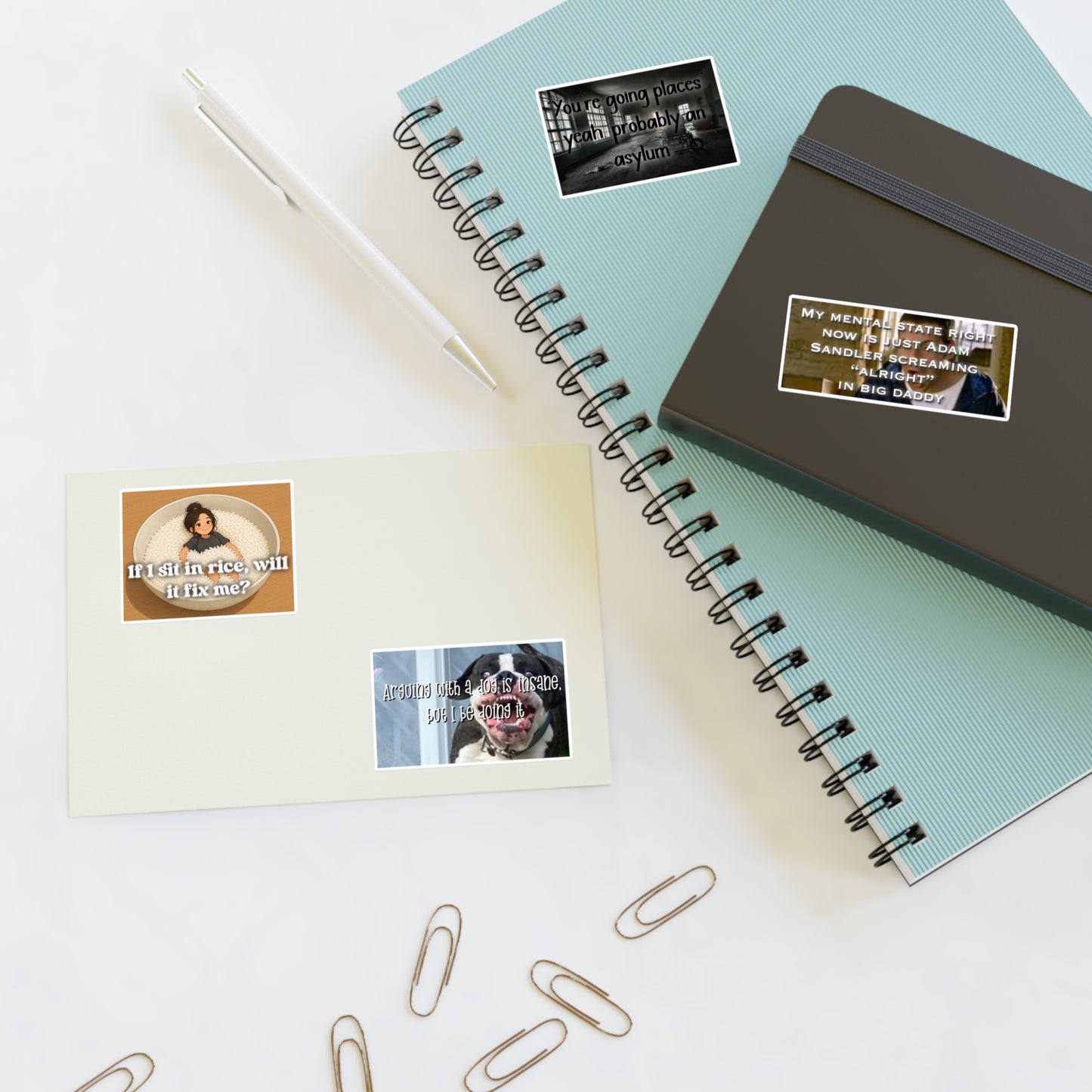 Funny Dark Humor Sticker Sheet — Meme Quotes ('If I sit in rice, will it fix me?', 'You're going places... asylum', Adam Sandler Big Daddy)