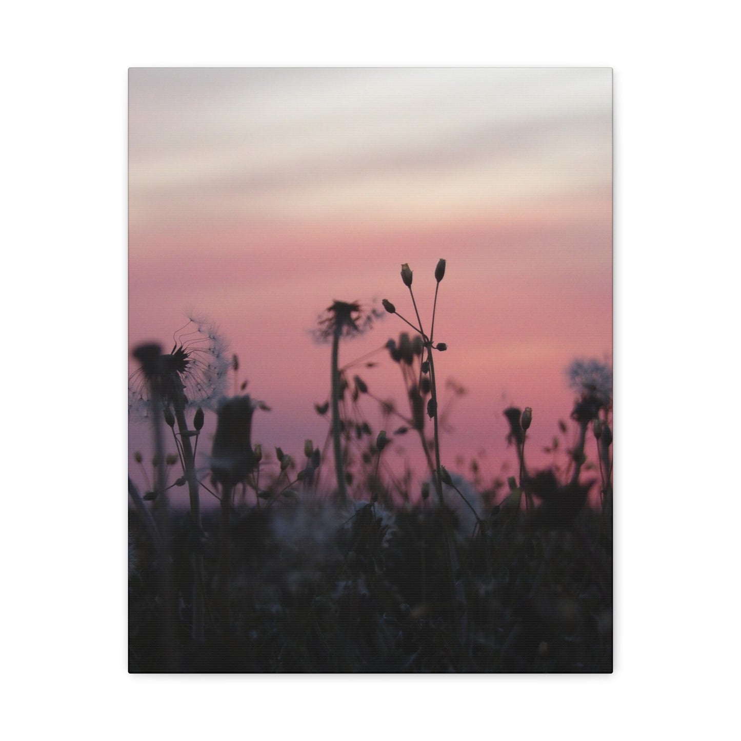Canvas Wall Art - Silhouetted Wildflowers at Pink Sunset