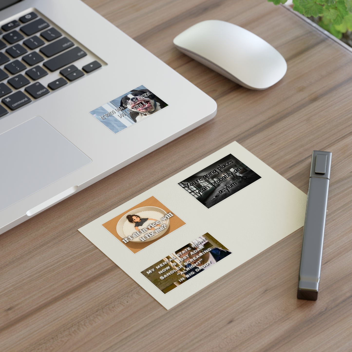 Funny Dark Humor Sticker Sheet — Meme Quotes ('If I sit in rice, will it fix me?', 'You're going places... asylum', Adam Sandler Big Daddy)