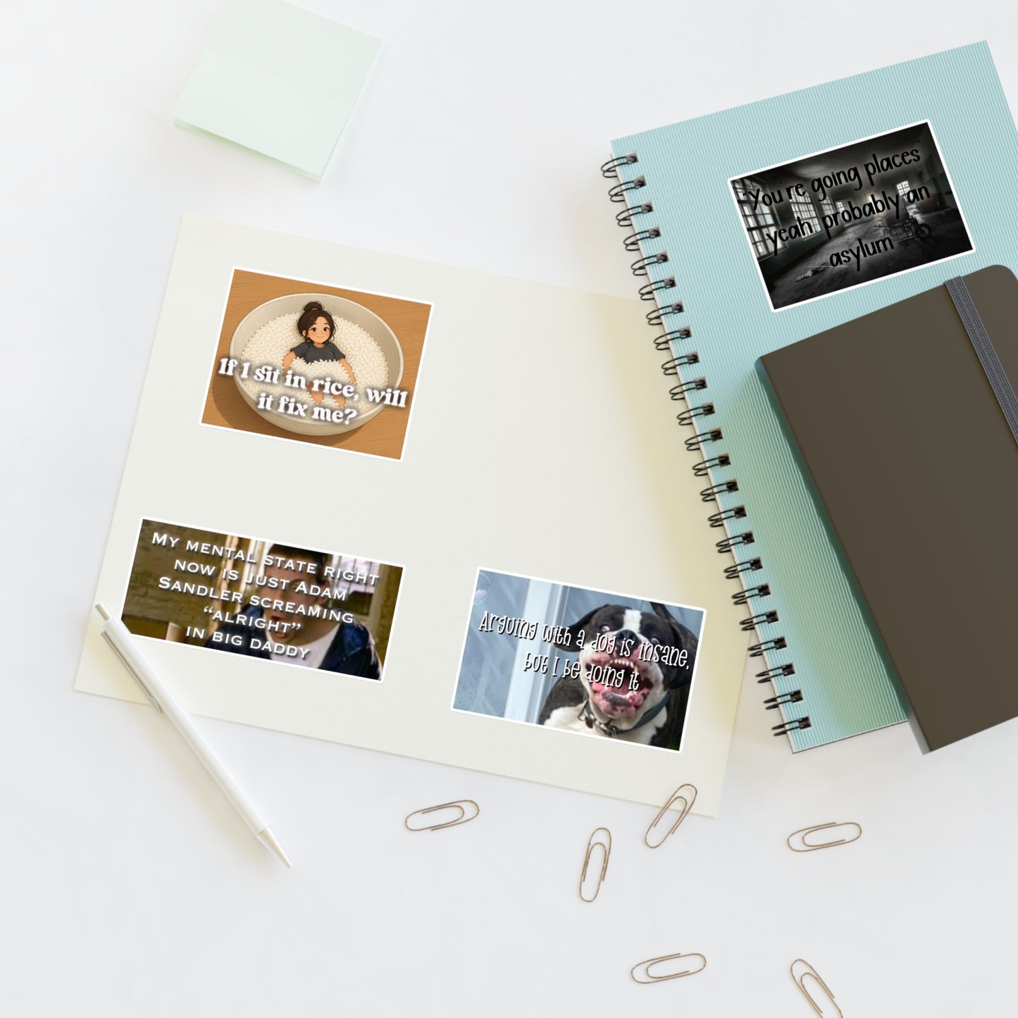 Funny Dark Humor Sticker Sheet — Meme Quotes ('If I sit in rice, will it fix me?', 'You're going places... asylum', Adam Sandler Big Daddy)