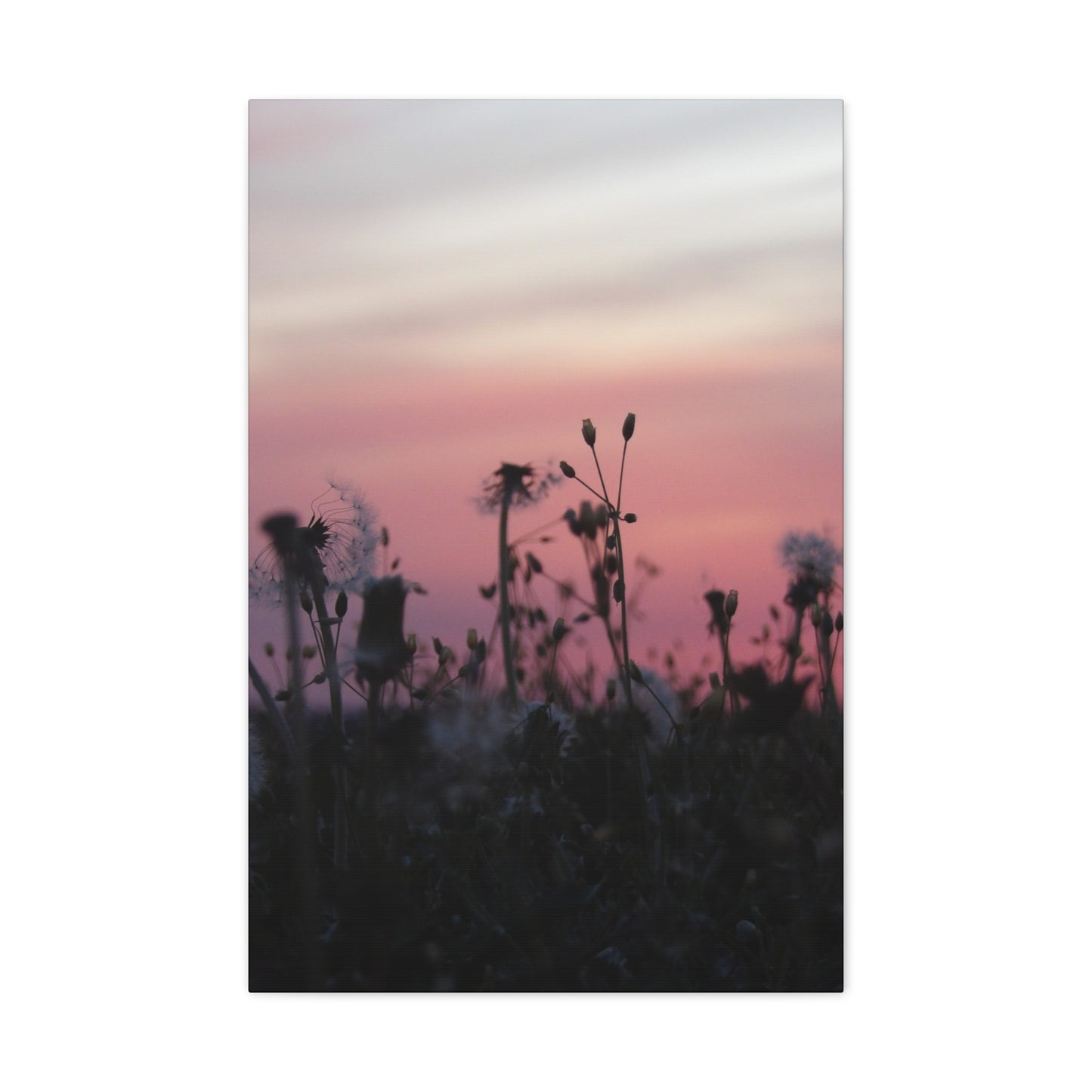 Canvas Wall Art - Silhouetted Wildflowers at Pink Sunset