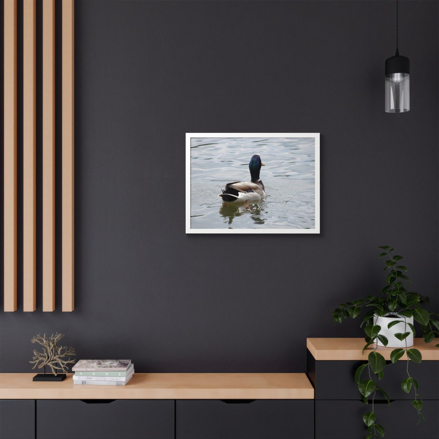 Mallard Duck Framed Poster – Serene Waterfowl Photography Wall Art