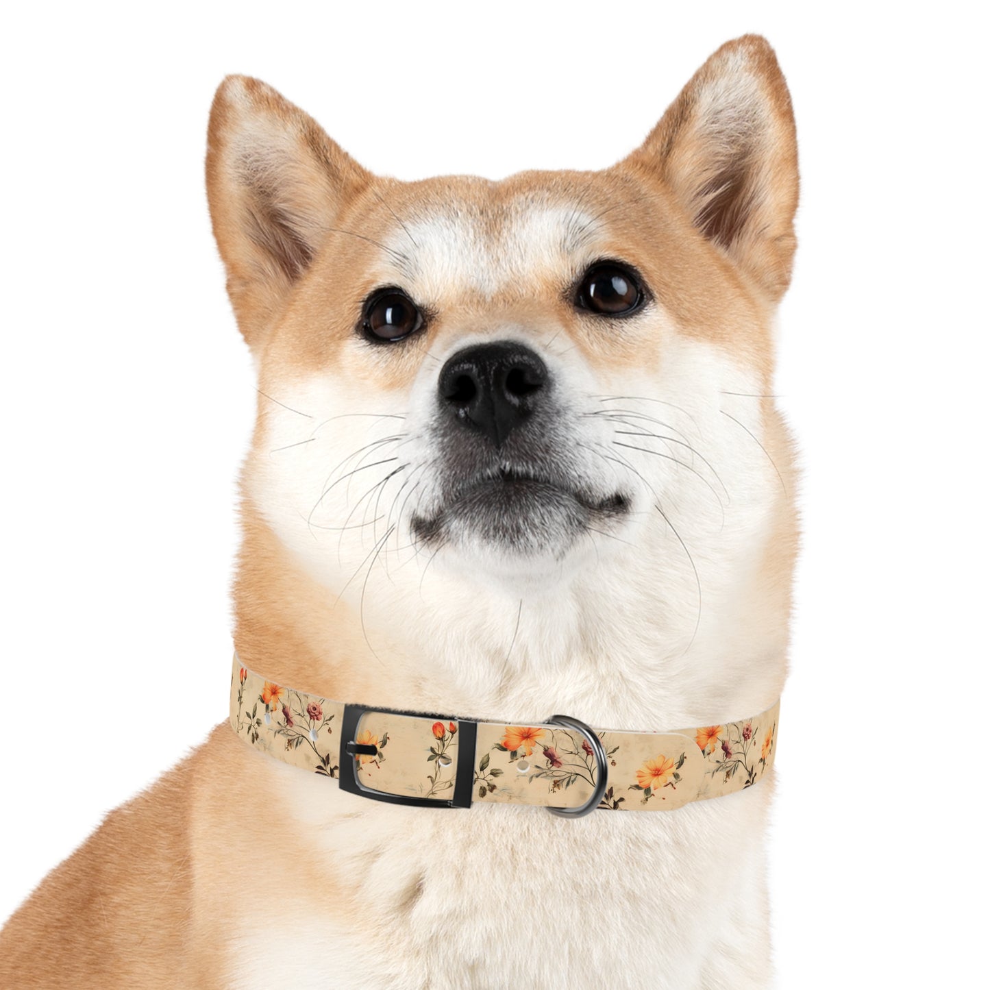 Floral Vintage Dog Collar – Peach Rose Print Pet Collar