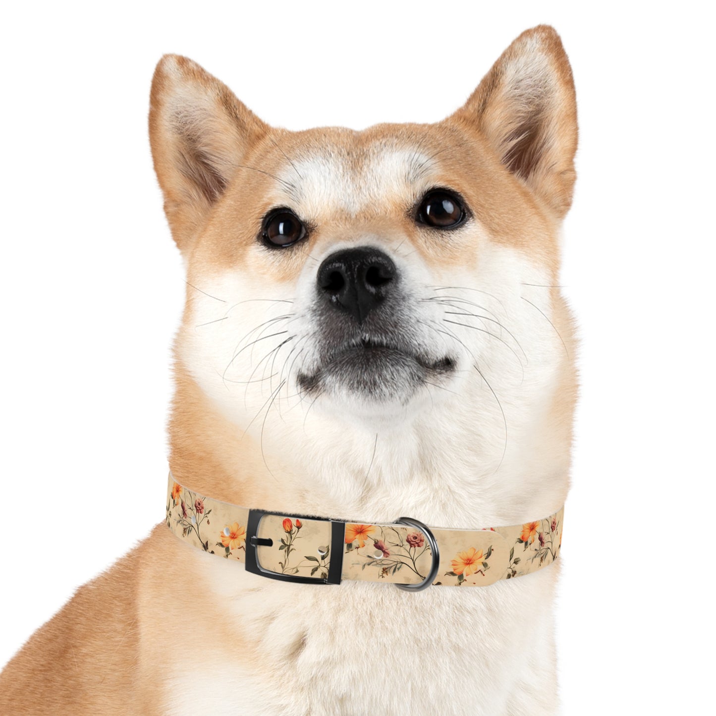 Floral Vintage Dog Collar – Peach Rose Print Pet Collar