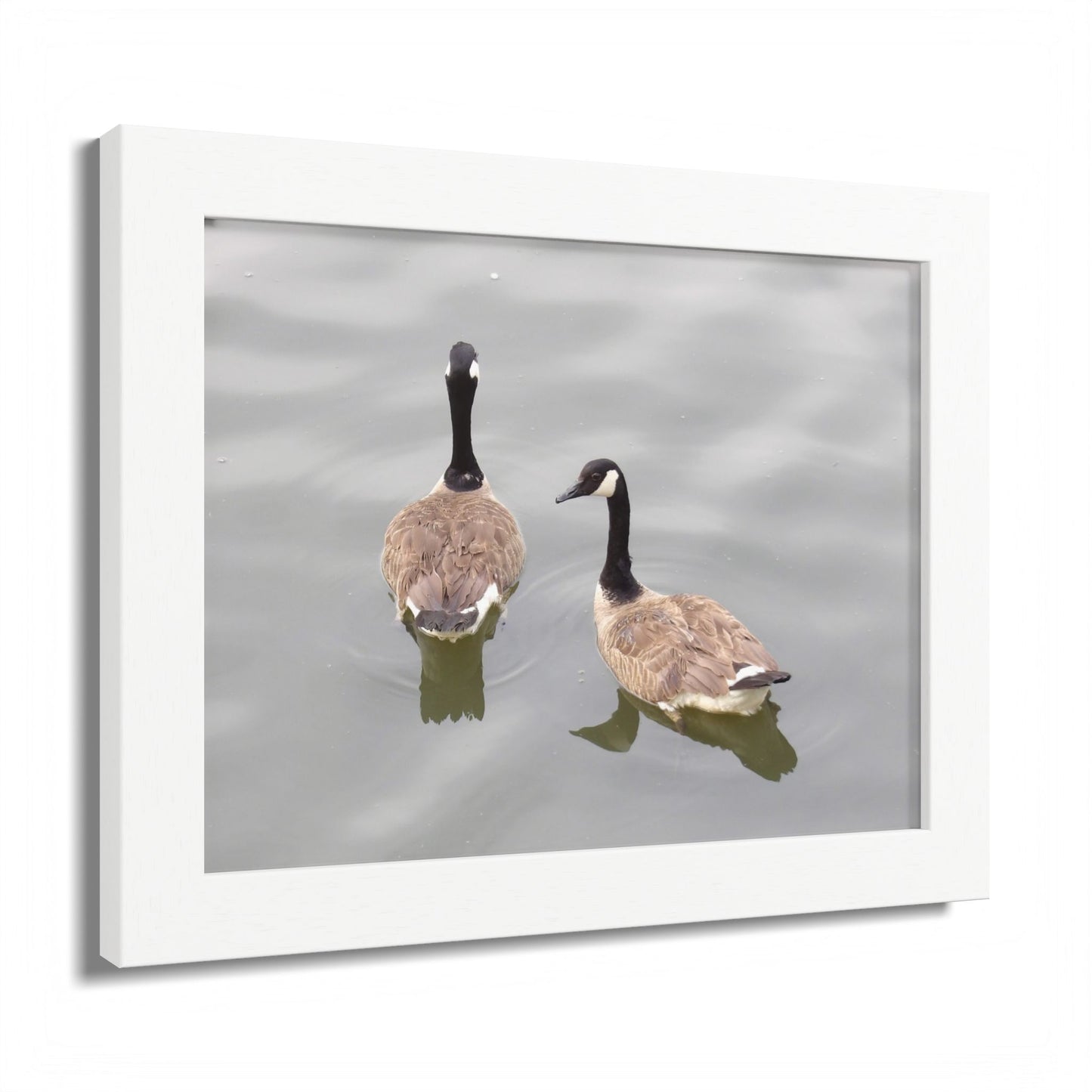 Canada Geese Wall Art Framed Photo Print — Serene Lake Nature Poster
