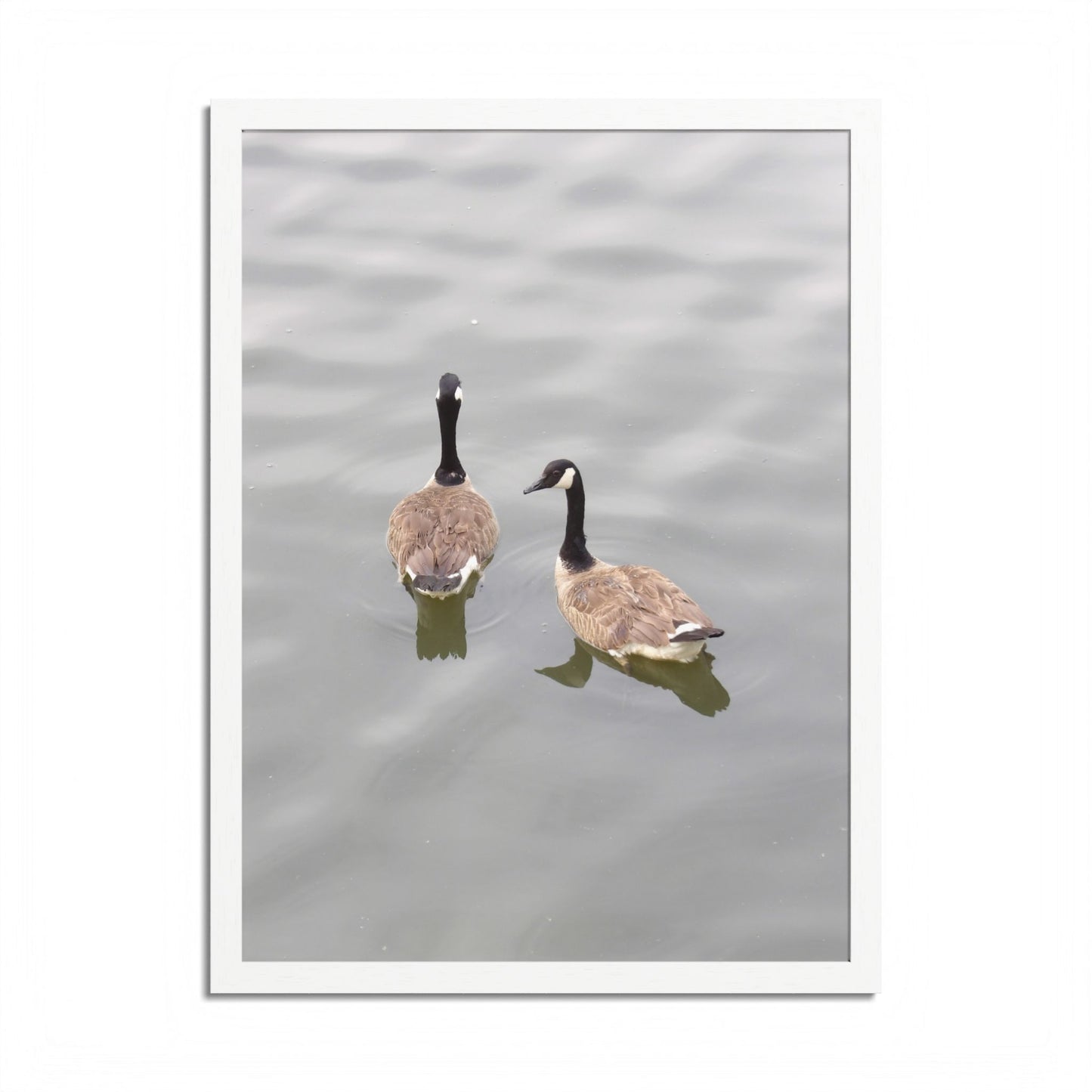 Canada Geese Wall Art Framed Photo Print — Serene Lake Nature Poster