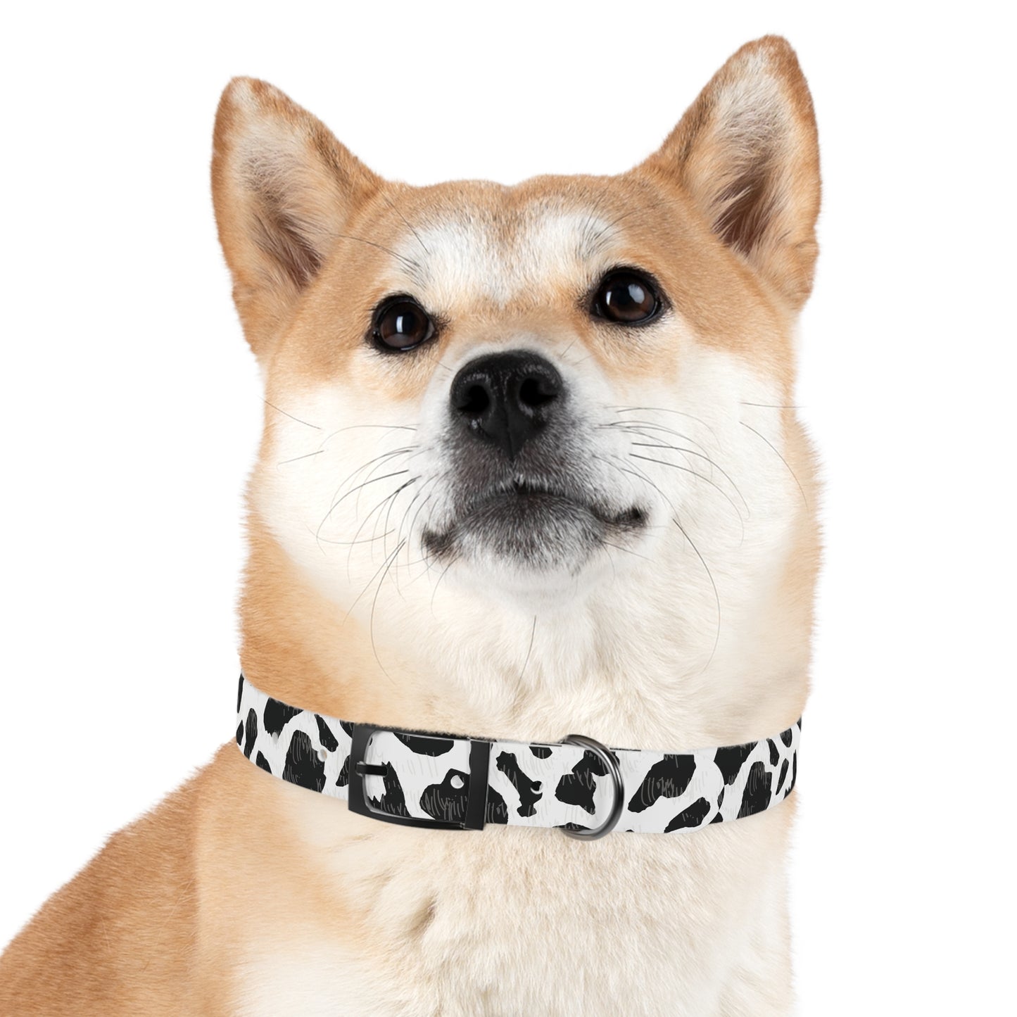 Cow Print Dog Collar — Black & White Spot Pattern