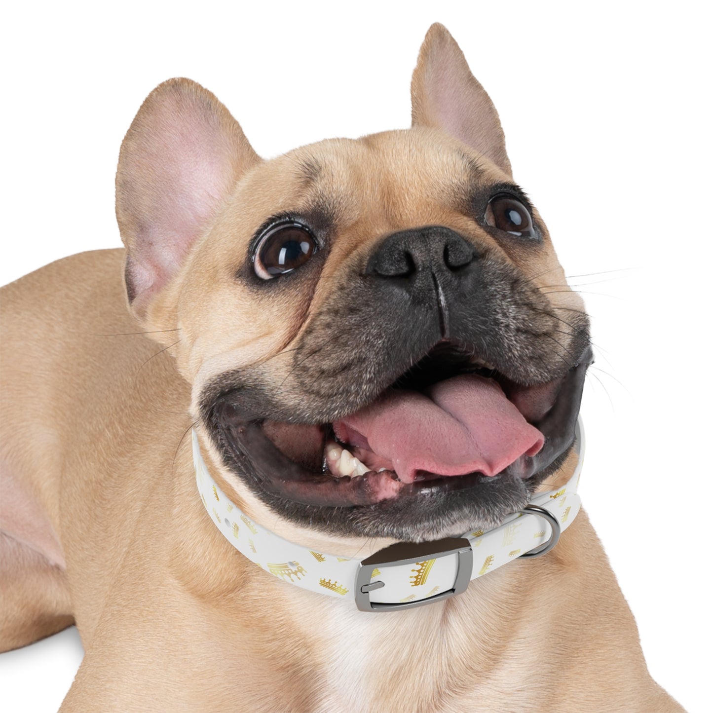 Gold Crown Pattern Dog Collar — Royal Pet Collar for Small & Large Dogs