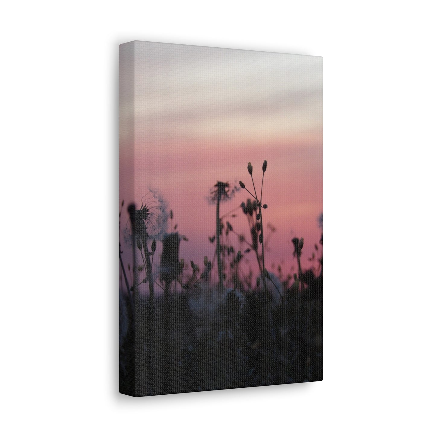 Canvas Wall Art - Silhouetted Wildflowers at Pink Sunset