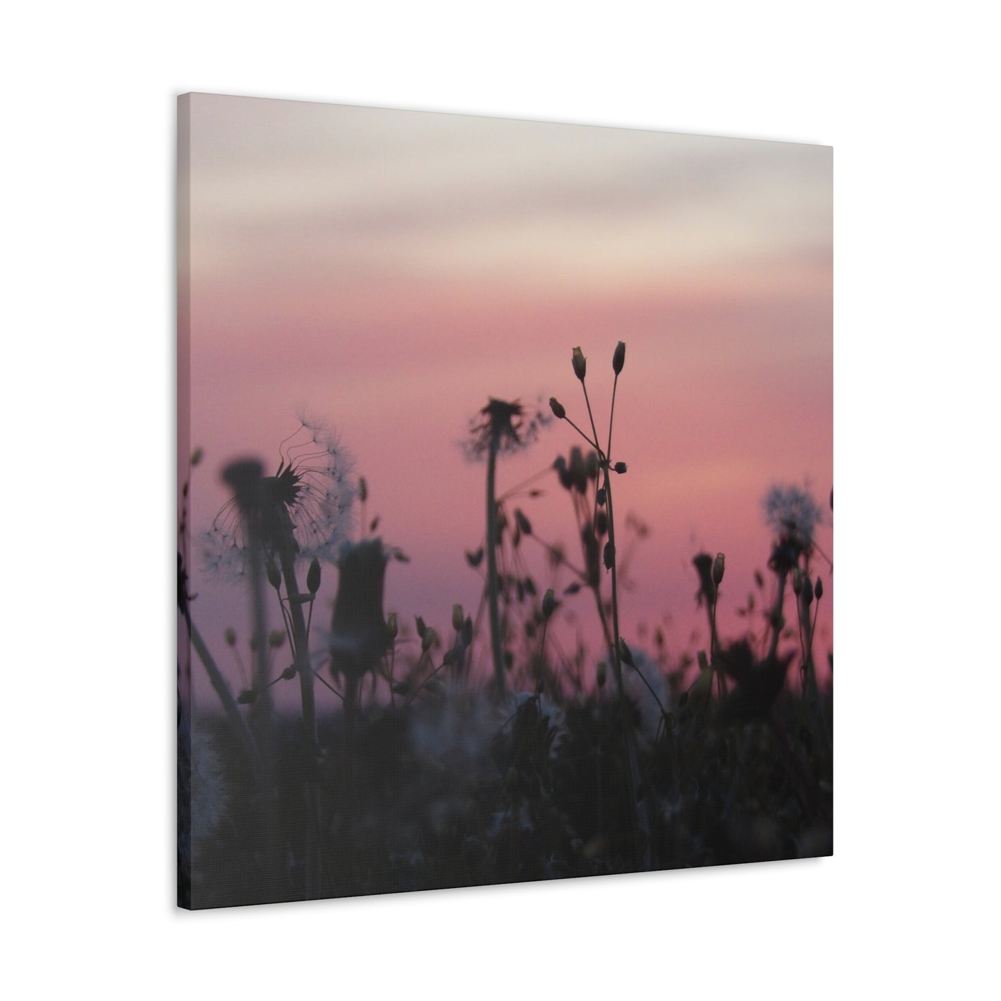 Canvas Wall Art - Silhouetted Wildflowers at Pink Sunset