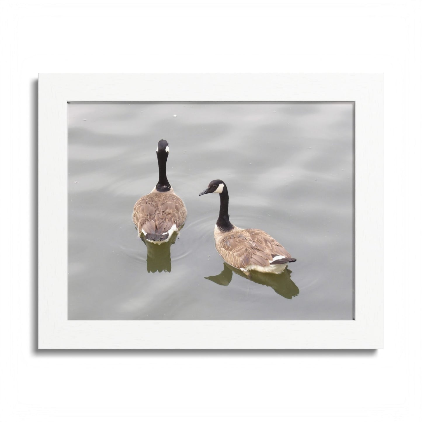 Canada Geese Wall Art Framed Photo Print — Serene Lake Nature Poster