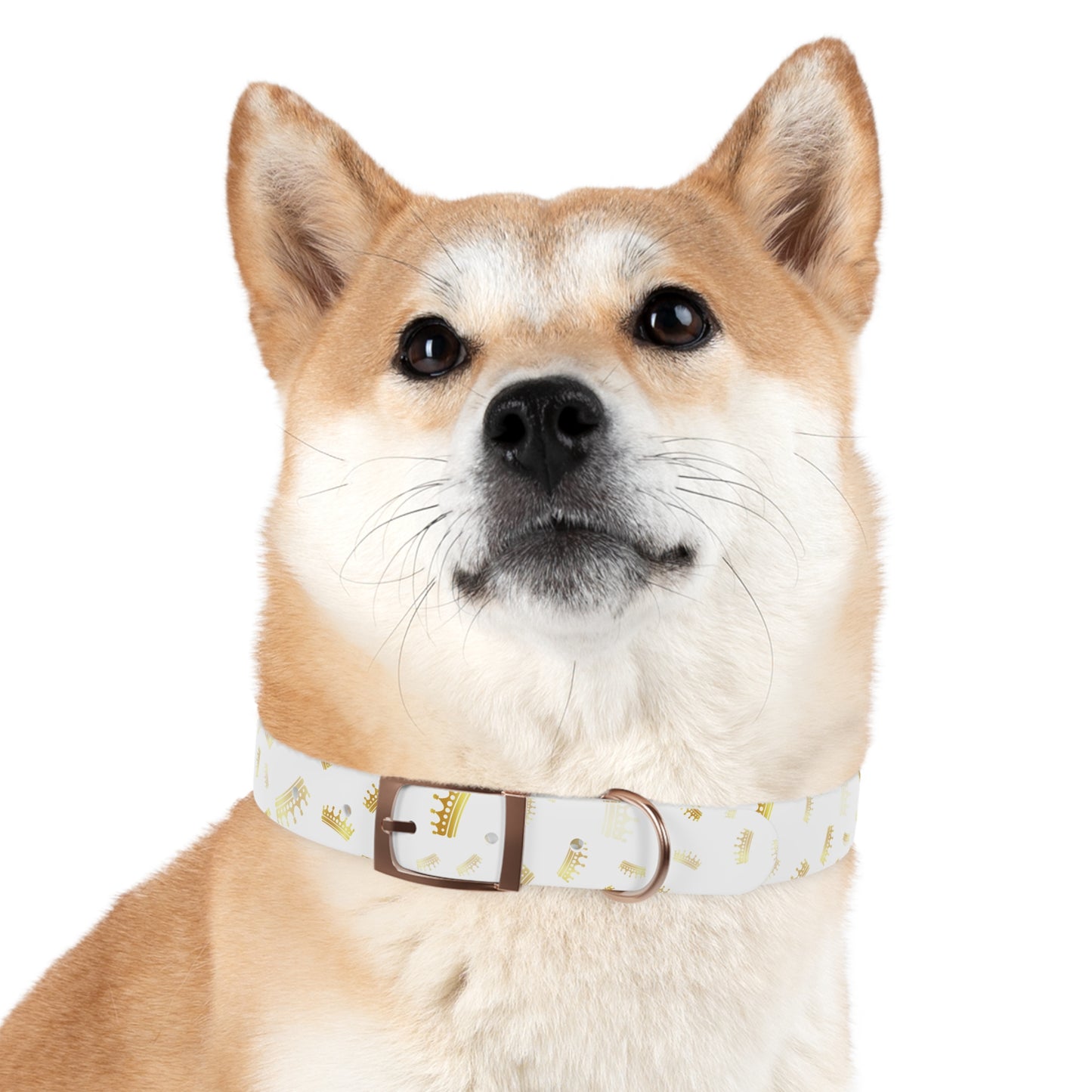 Gold Crown Pattern Dog Collar — Royal Pet Collar for Small & Large Dogs