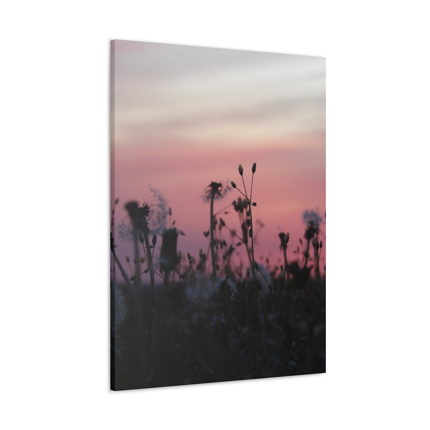 Canvas Wall Art - Silhouetted Wildflowers at Pink Sunset