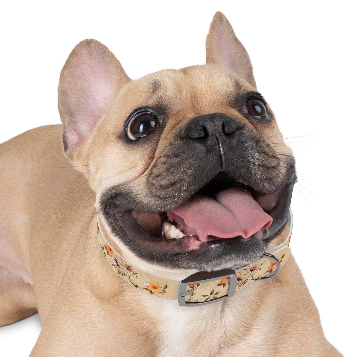 Floral Vintage Dog Collar – Peach Rose Print Pet Collar